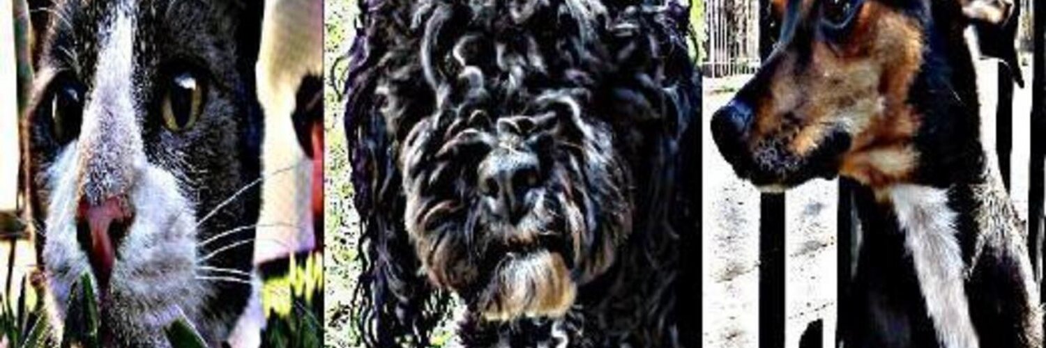 Oscar Miño OnlyFans header