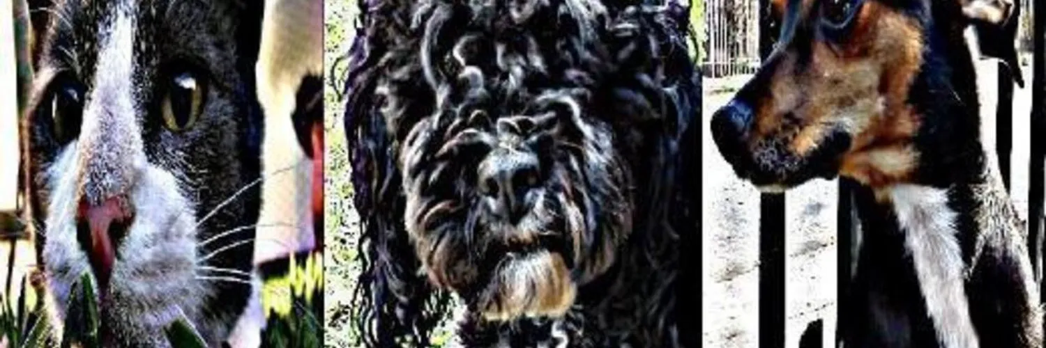 Oscar Miño OnlyFans header