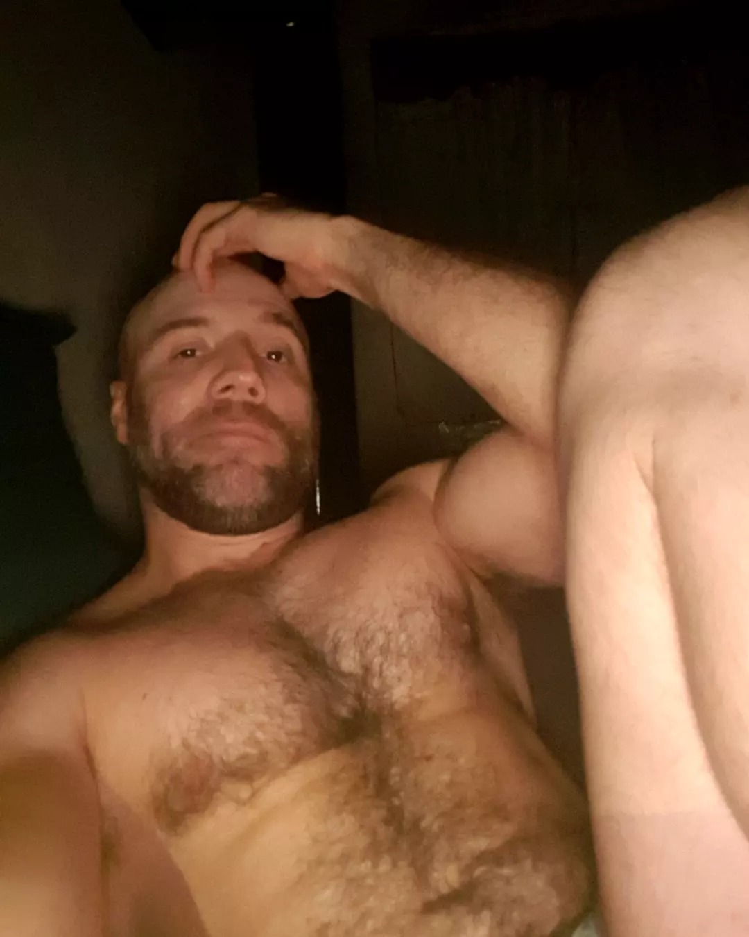 BearProject OnlyFans