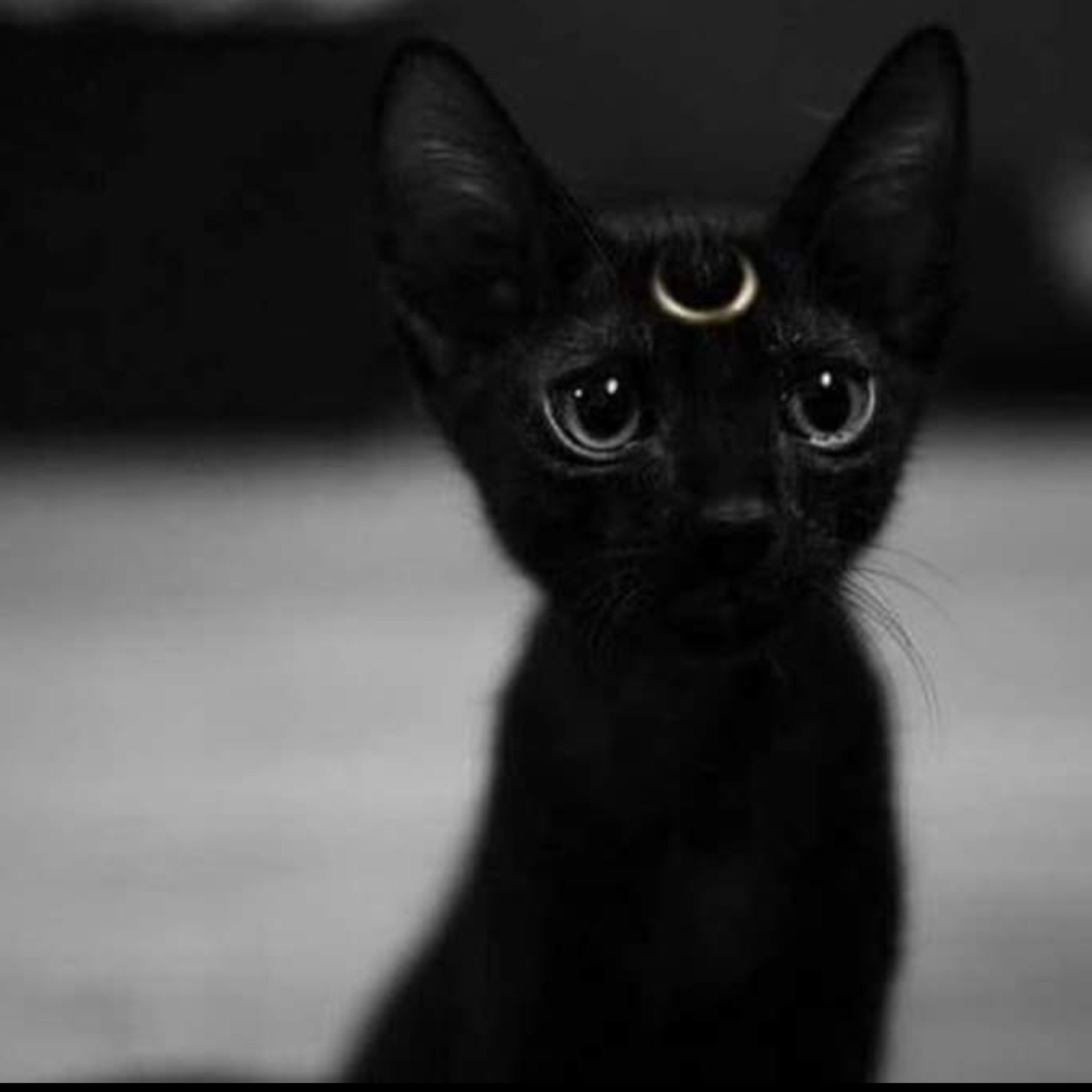 Osiris Salas OnlyFans header