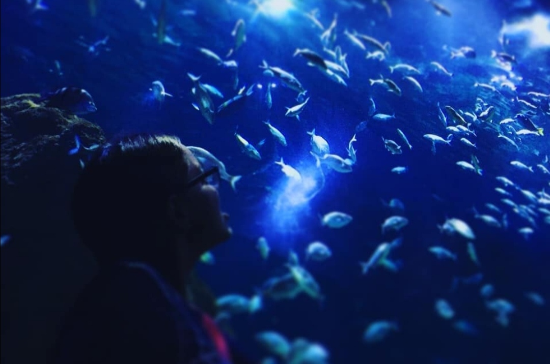 Paola Rico OnlyFans header