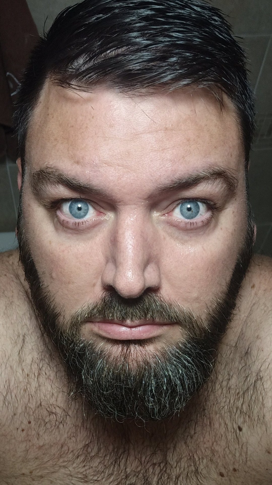 Osito bear OnlyFans header