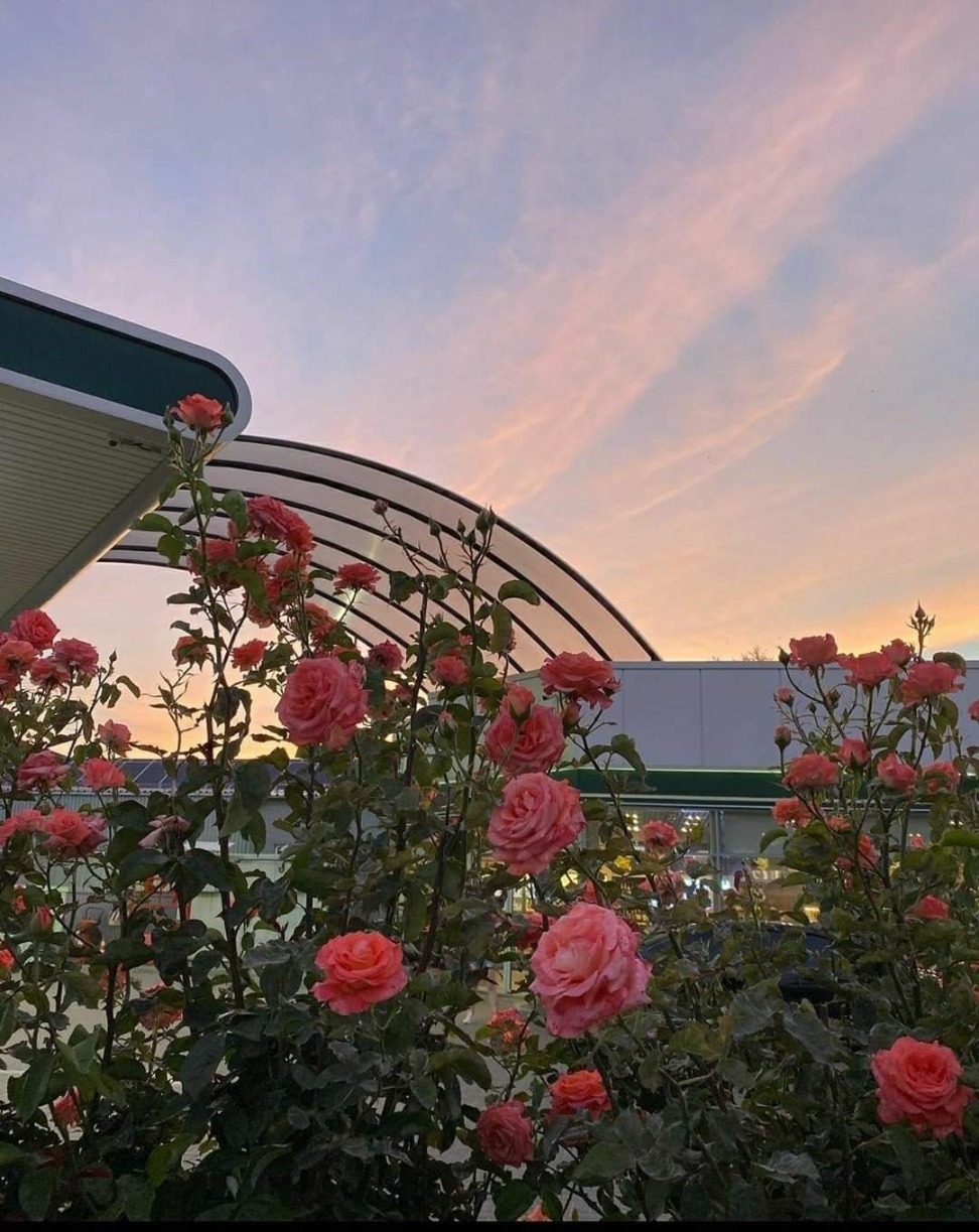 𝕺𝖘𝖒𝖆𝖓𝖎 𝕷𝖔𝖕𝖊𝖟 OnlyFans header