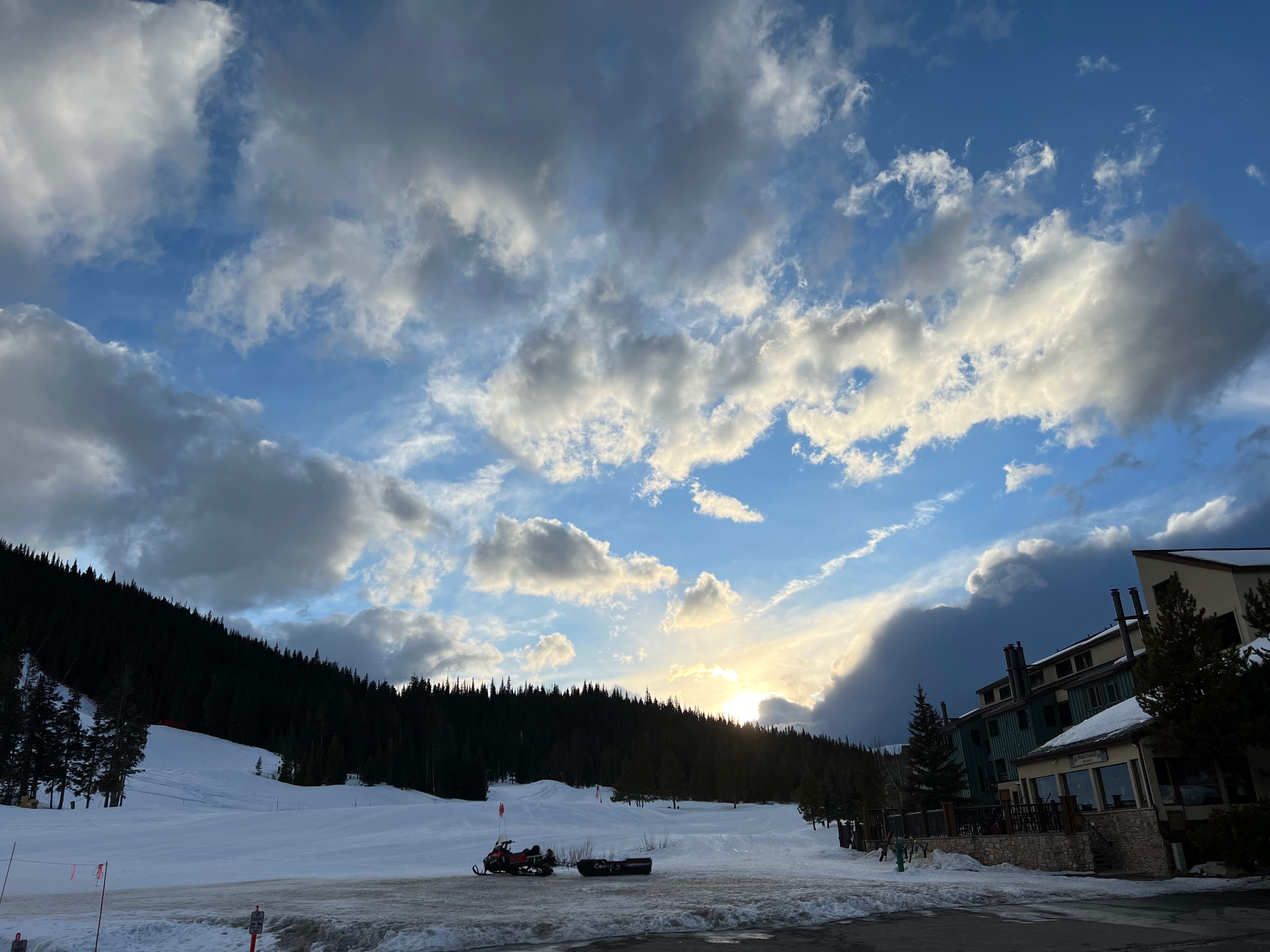 Oso de montaña OnlyFans header