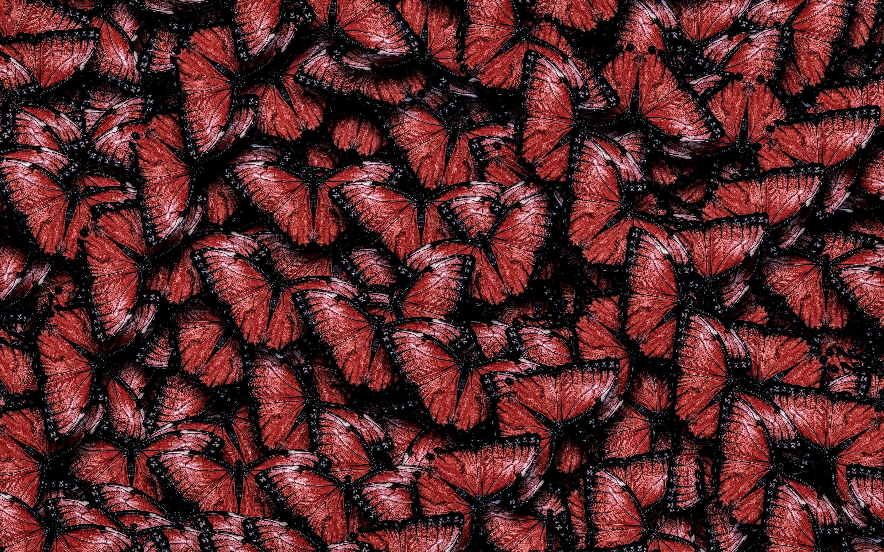 DaddyOso OnlyFans header