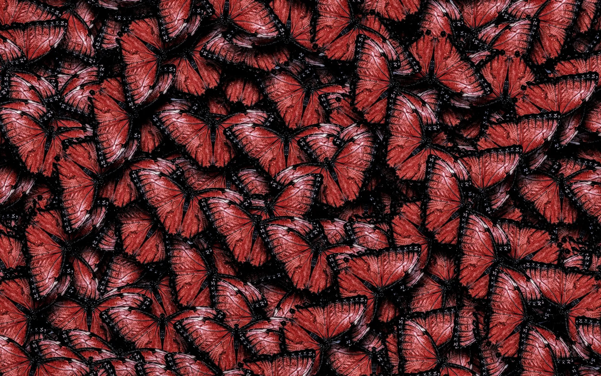 DaddyOso OnlyFans header