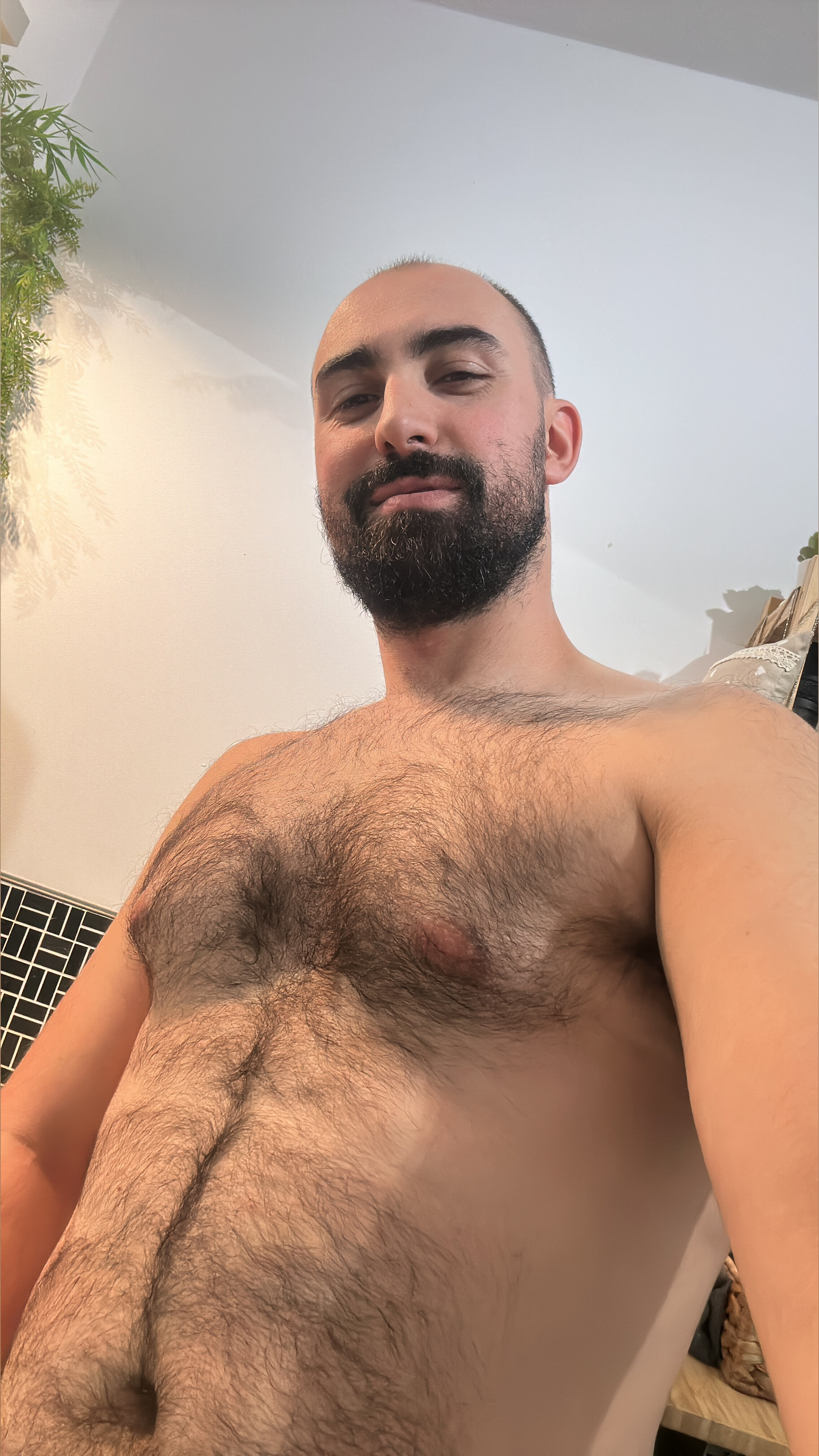Oso Pedrito OnlyFans header