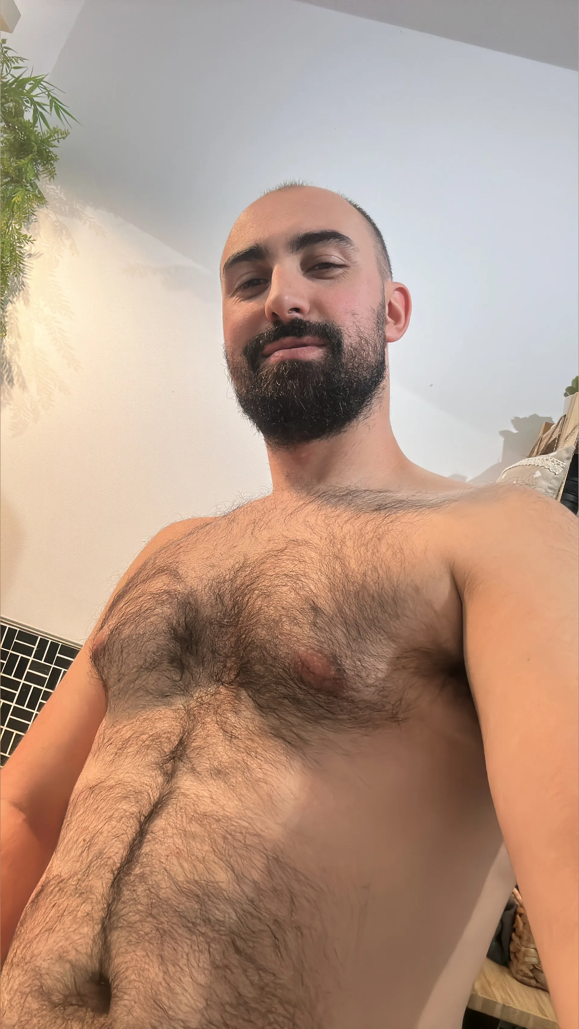 Oso Pedrito OnlyFans header