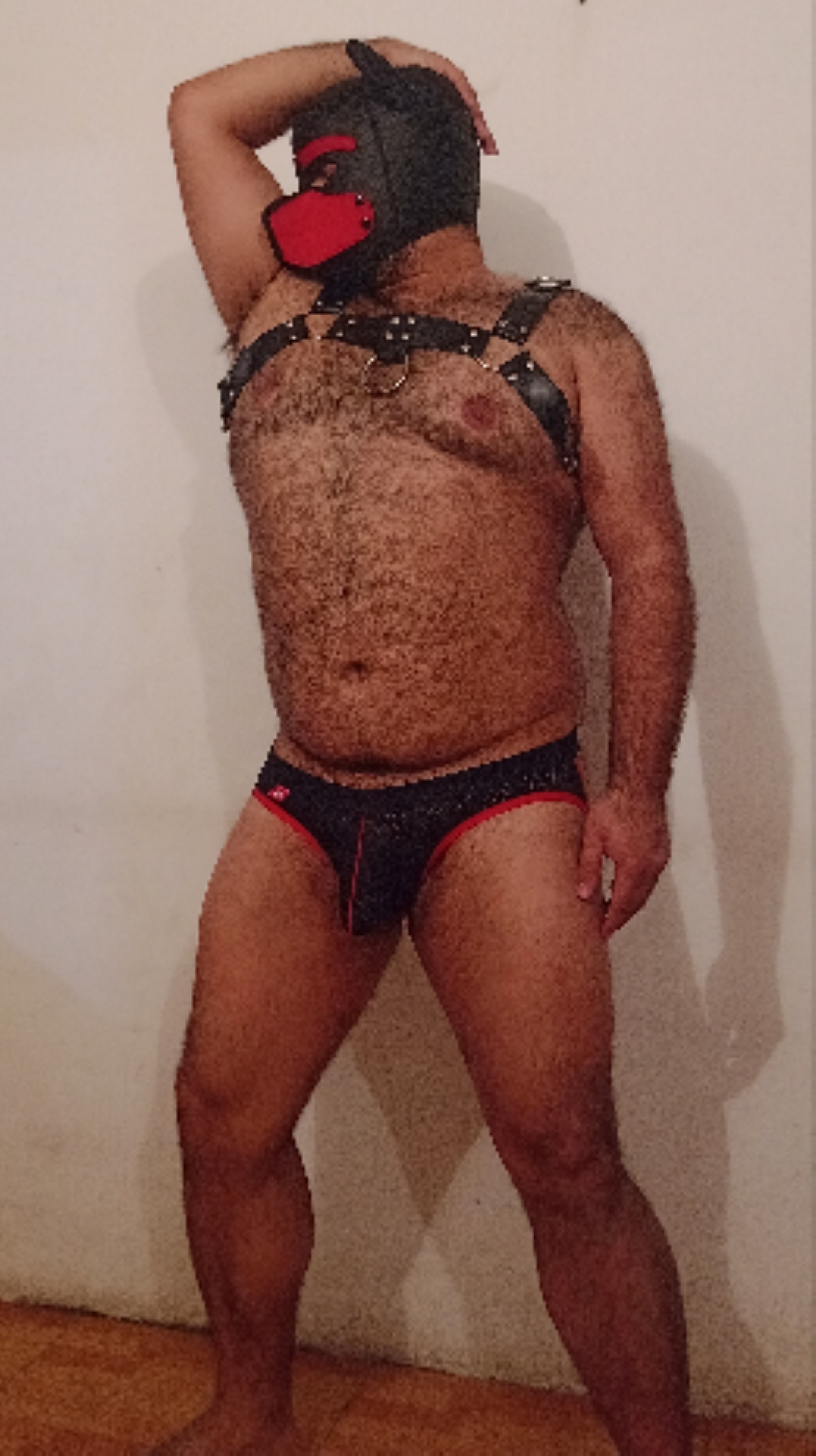 Oso ActivoVers OnlyFans