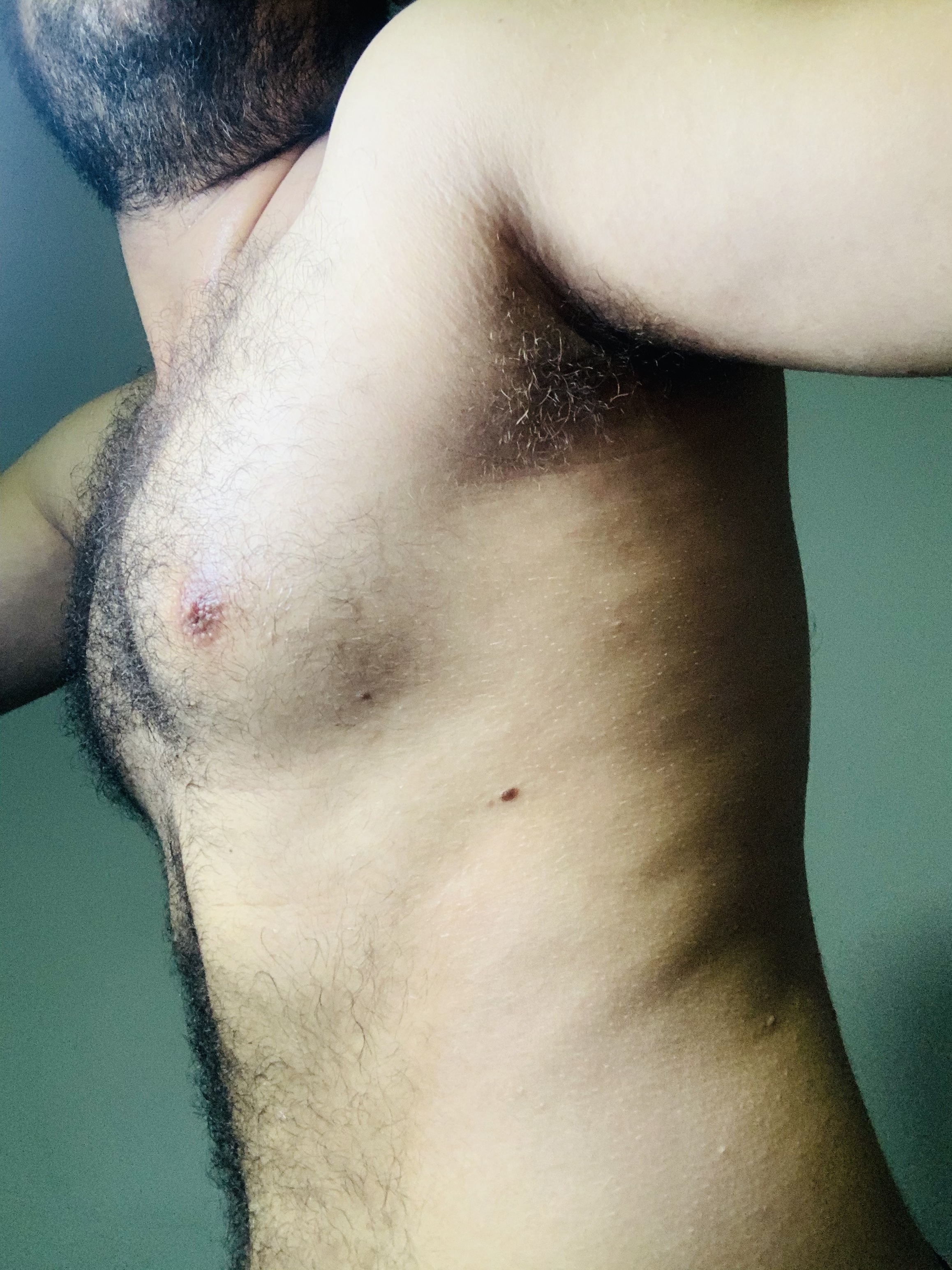 OSO PELUDO OnlyFans header
