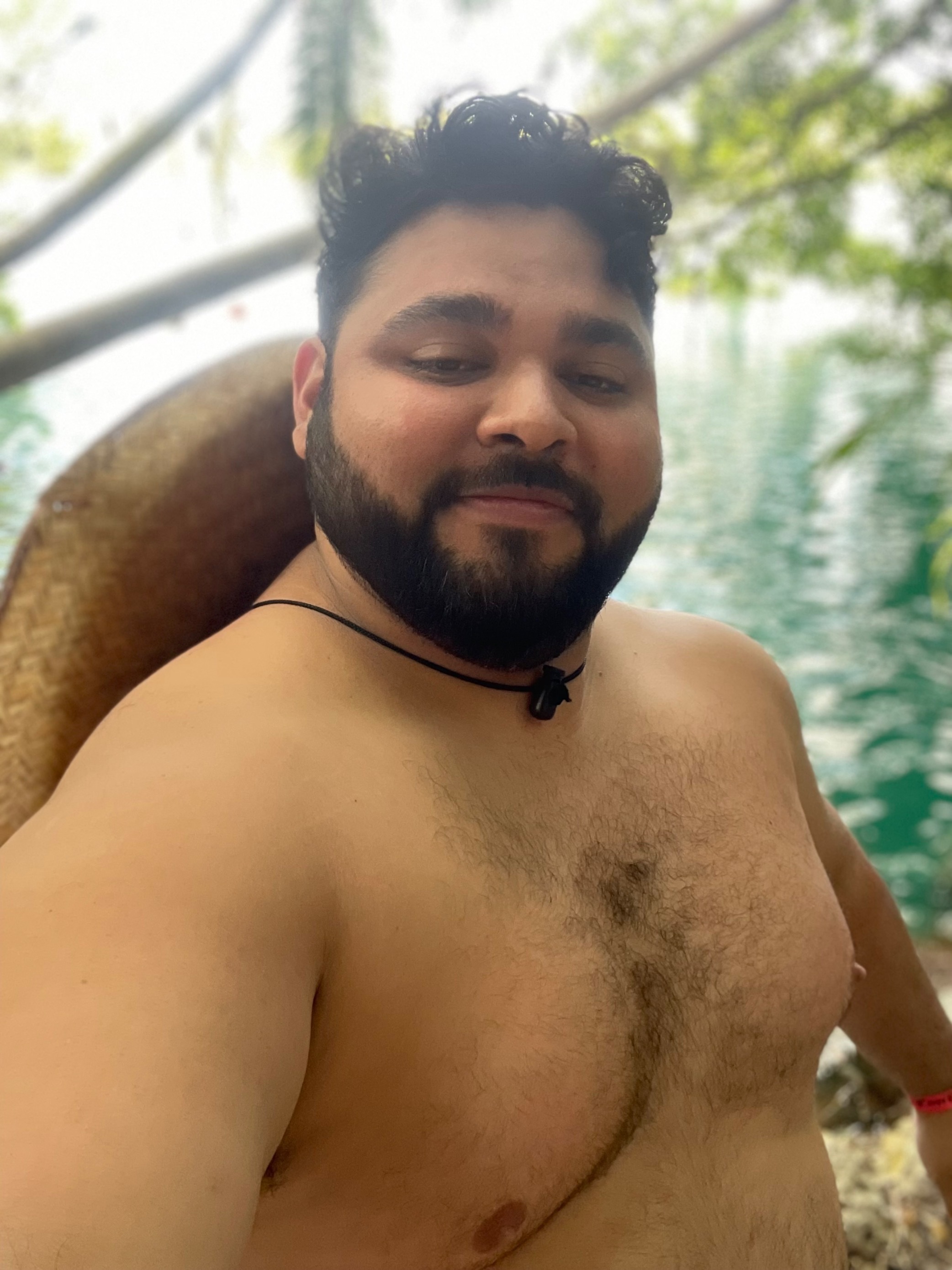 Oso promedio OnlyFans