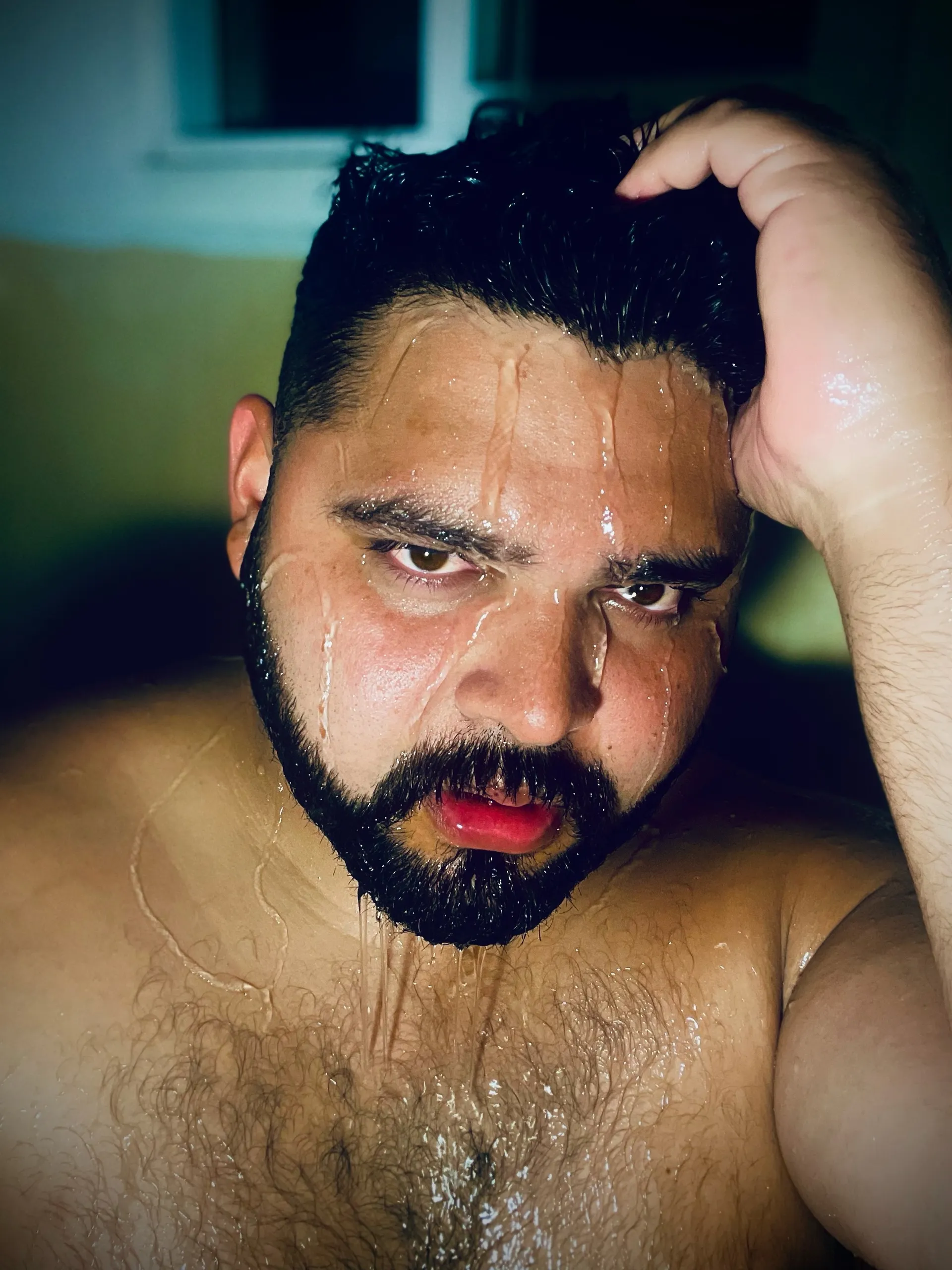 Oso promedio OnlyFans header