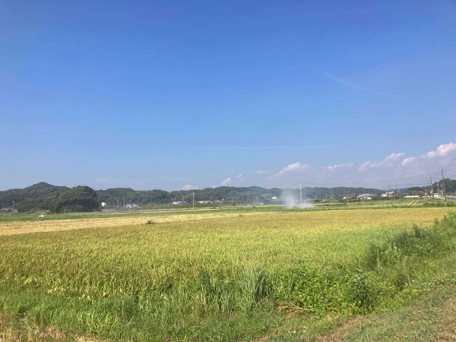 Ossuman OnlyFans header