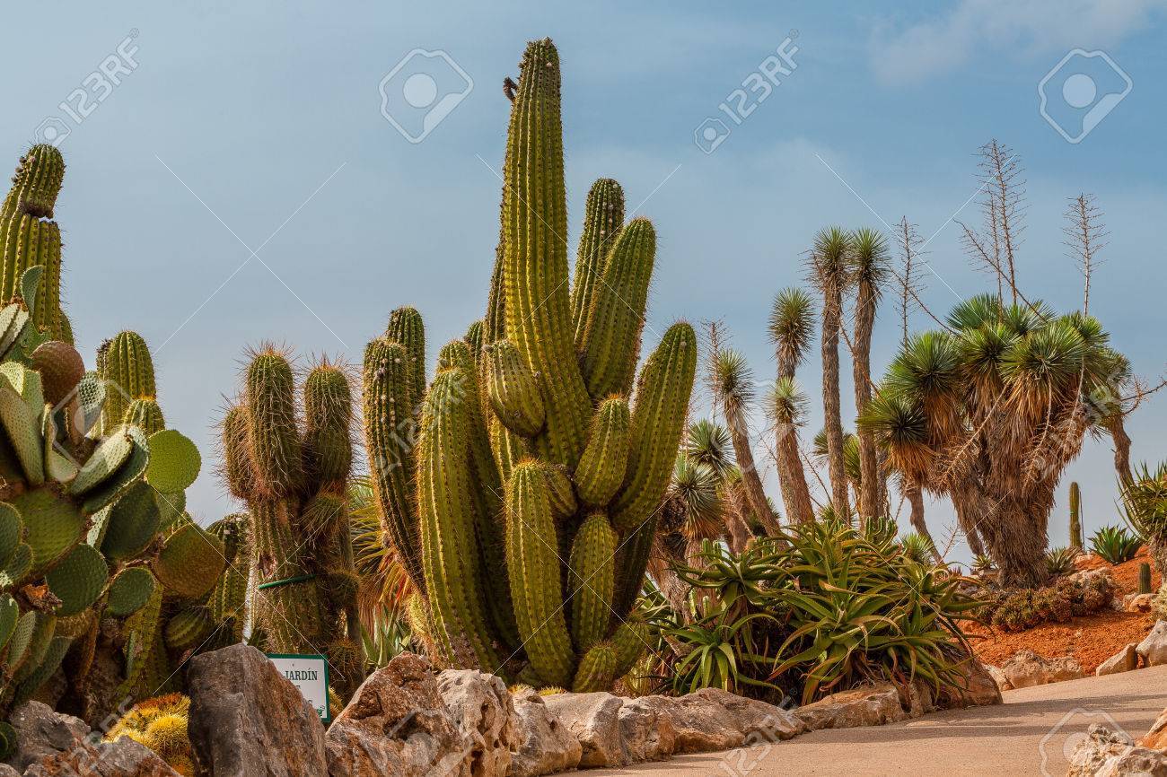 u88944899 OnlyFans header