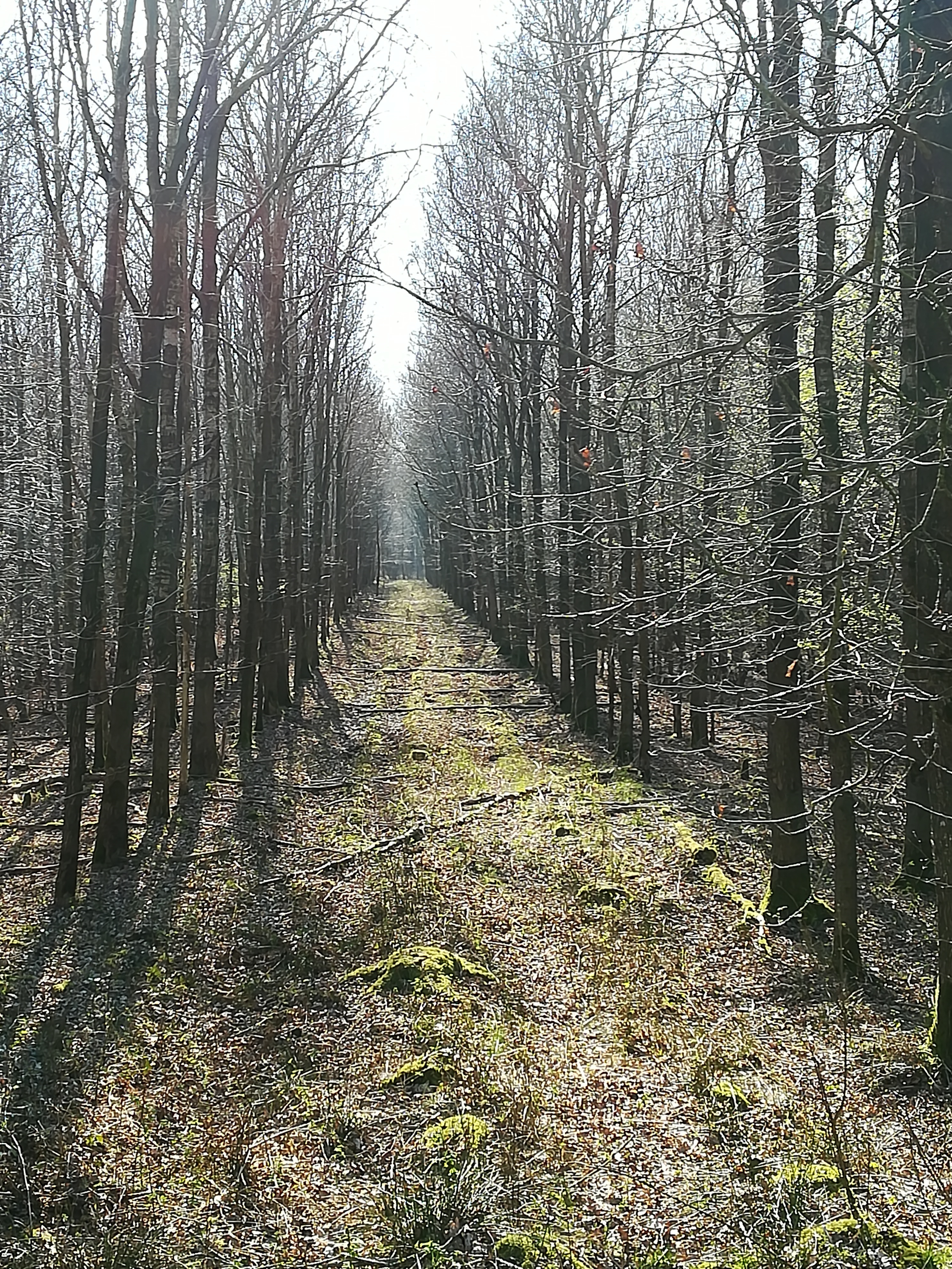 OstfrieslandGay OnlyFans header