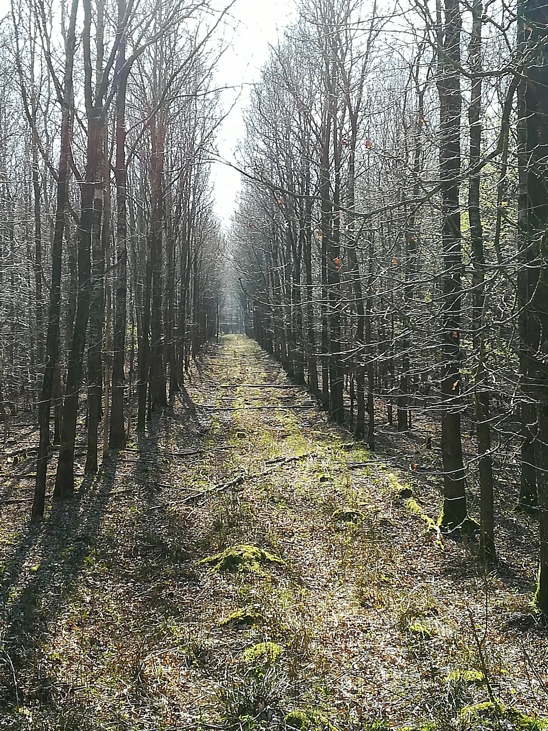 OstfrieslandGay OnlyFans header