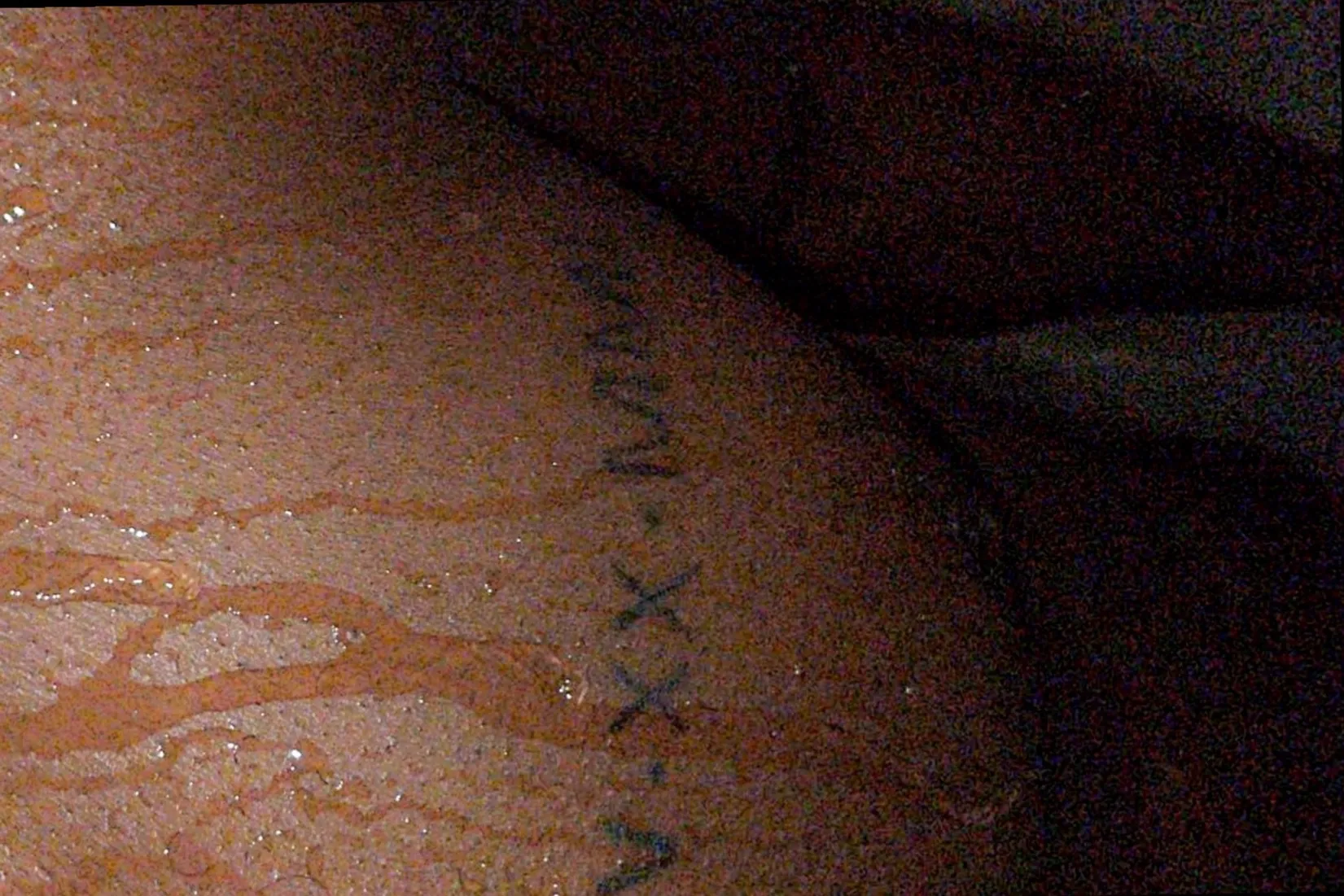 ostin OnlyFans header