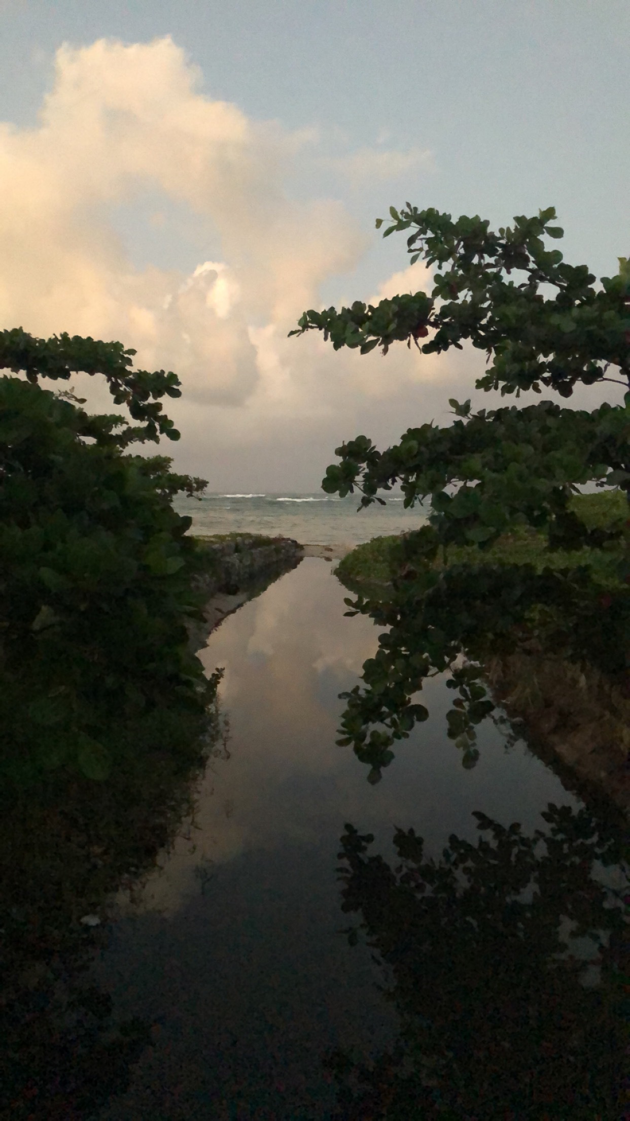 Ostrology OnlyFans header