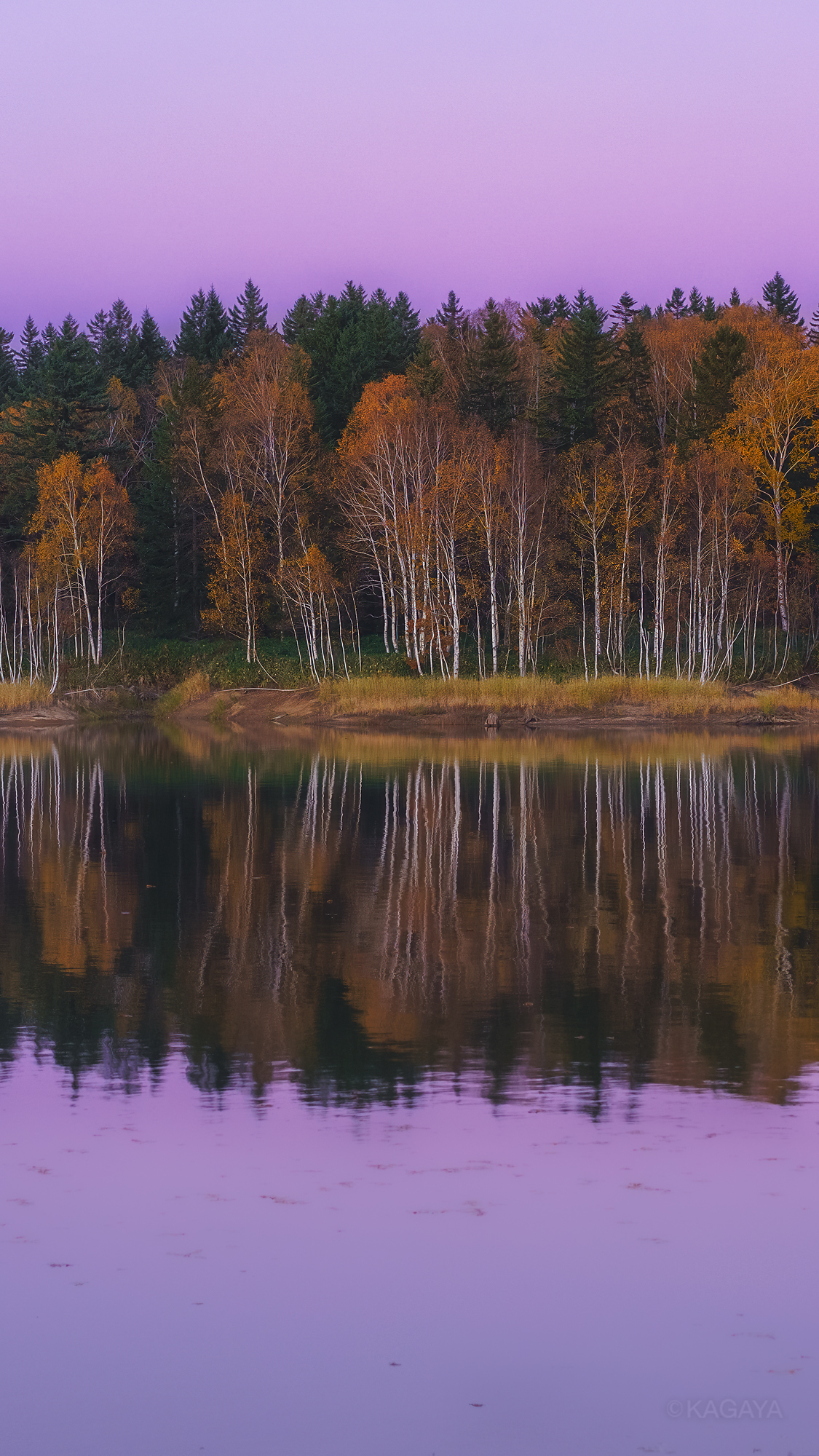 ズリ鍛錬 OnlyFans header