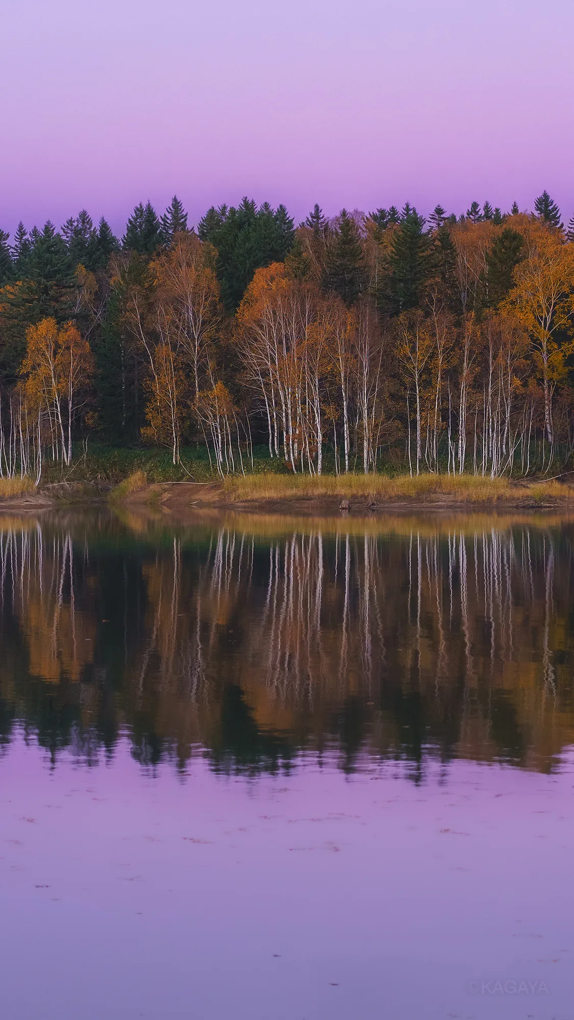 ズリ鍛錬 OnlyFans header