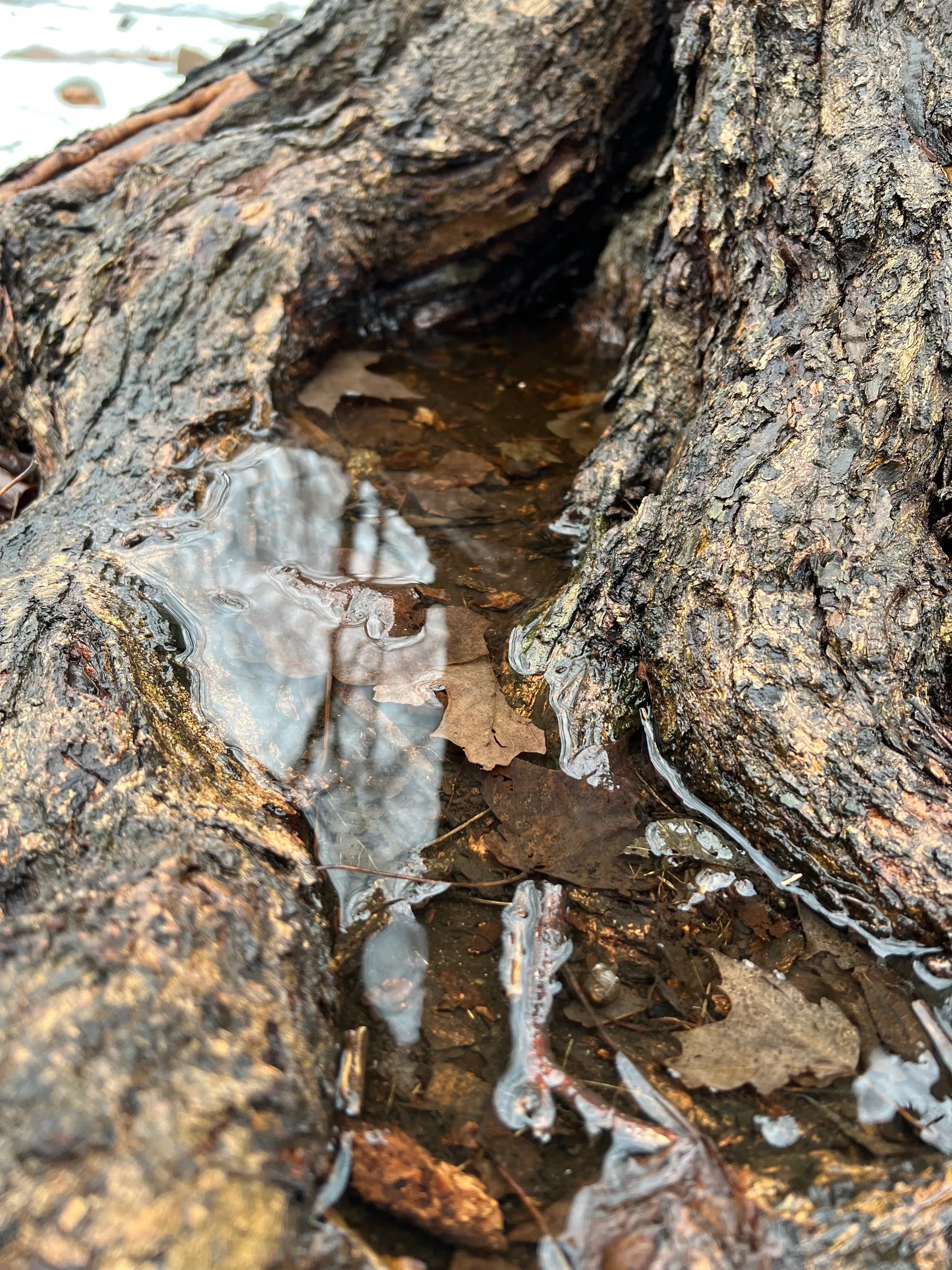 Raquel OnlyFans header