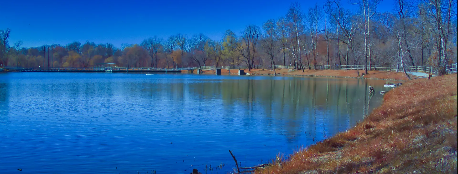 Lee S. OnlyFans header