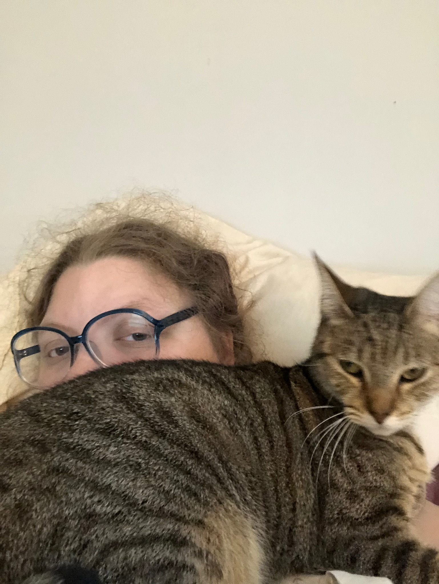 Ashton Counterman OnlyFans