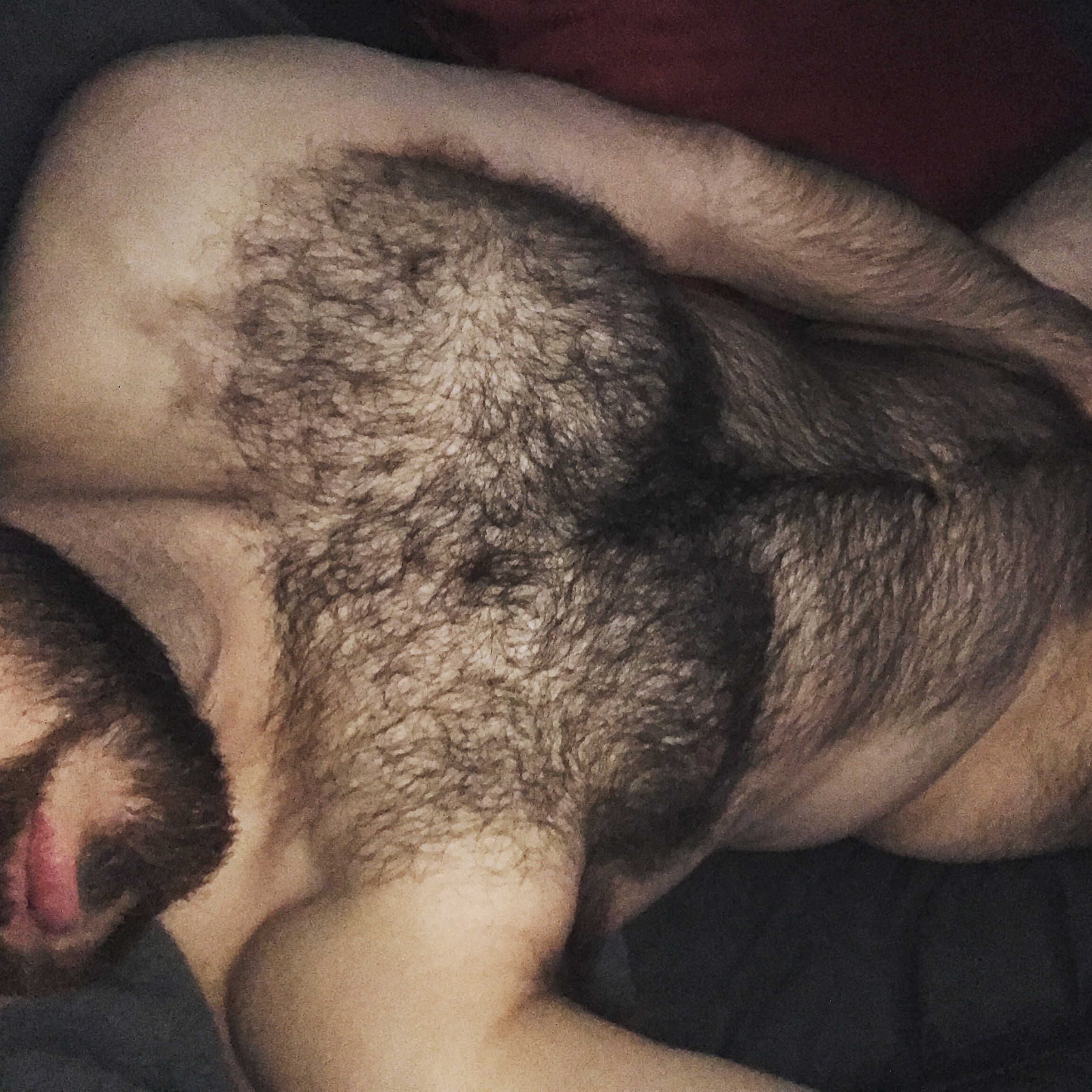 Hairy Bush Bro OnlyFans