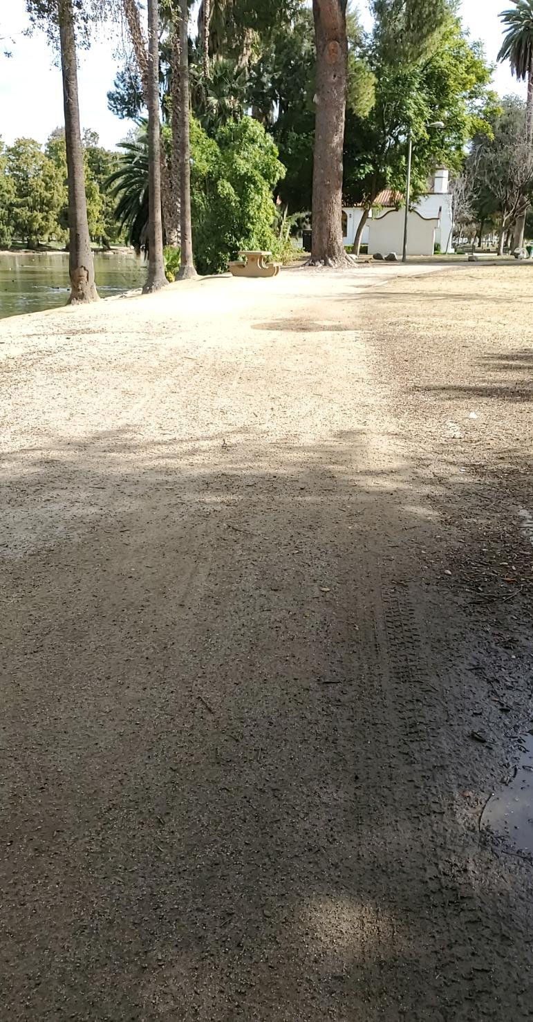 Stich Otter OnlyFans header