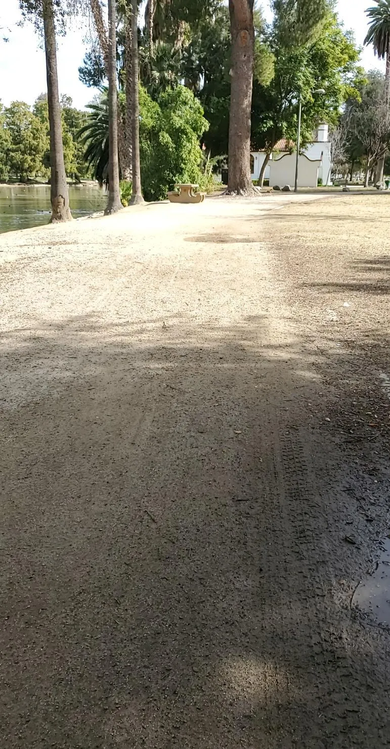 Stich Otter OnlyFans header