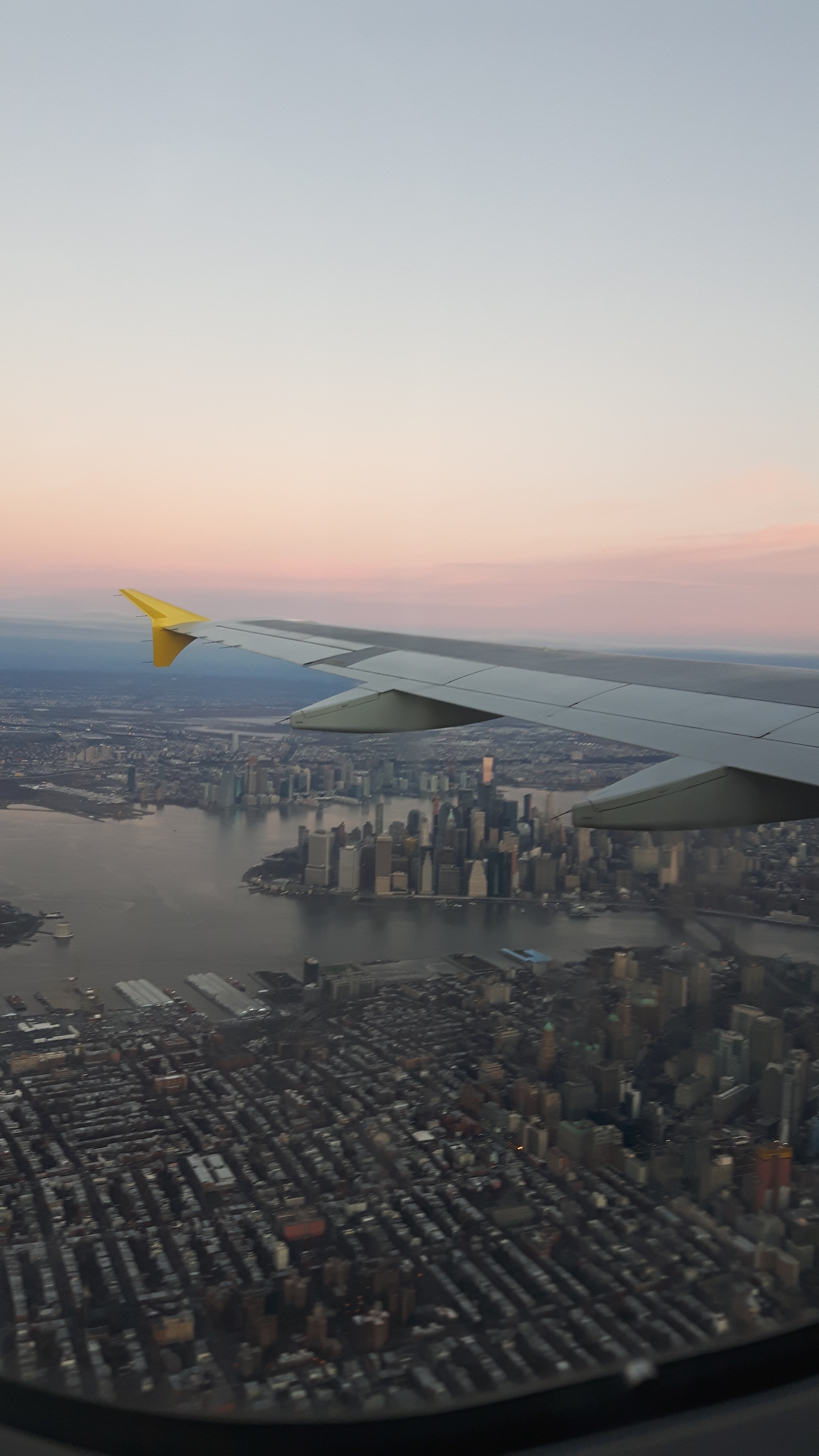 Otter Pup OnlyFans header