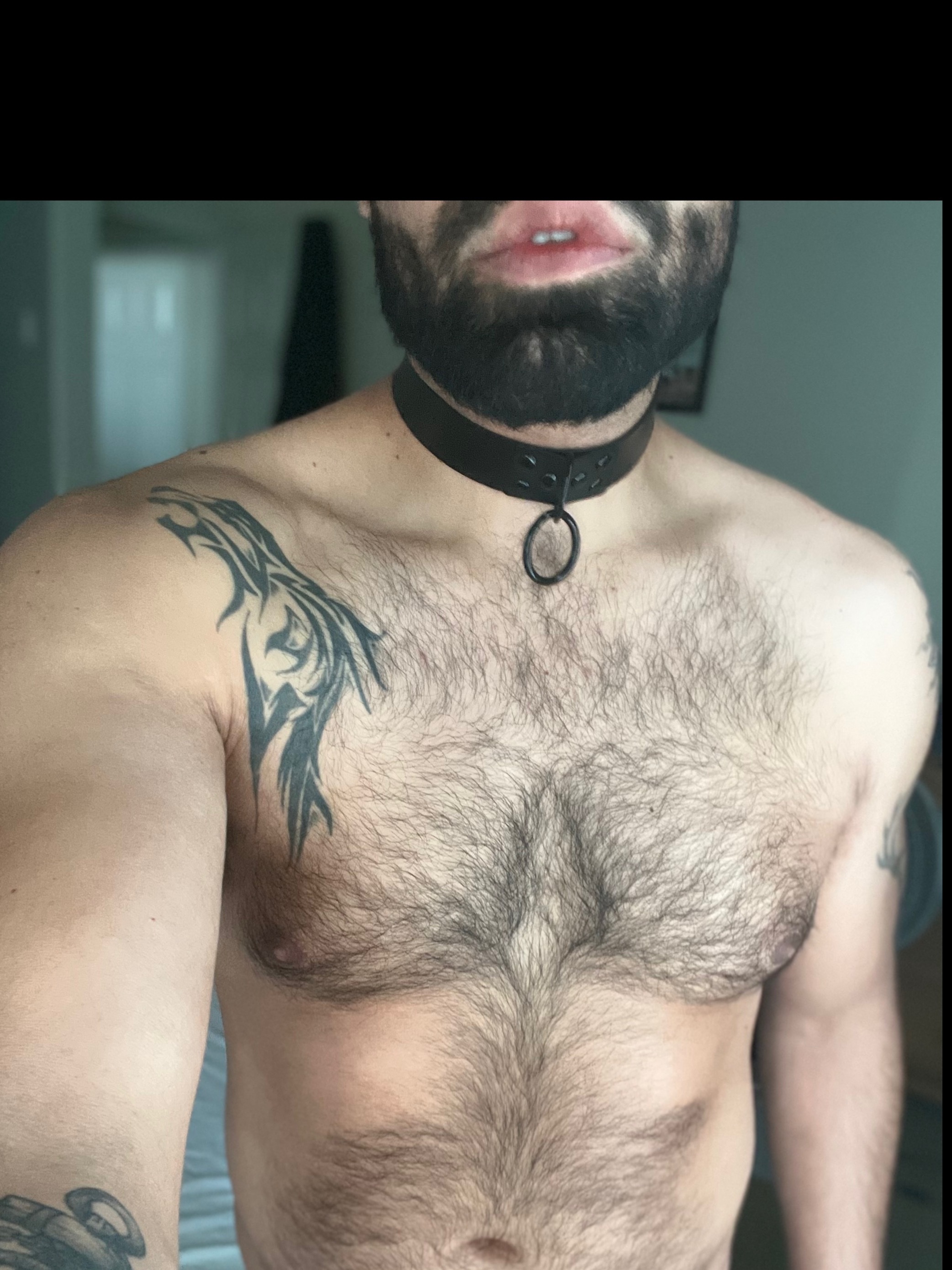 Otter-slave777 OnlyFans