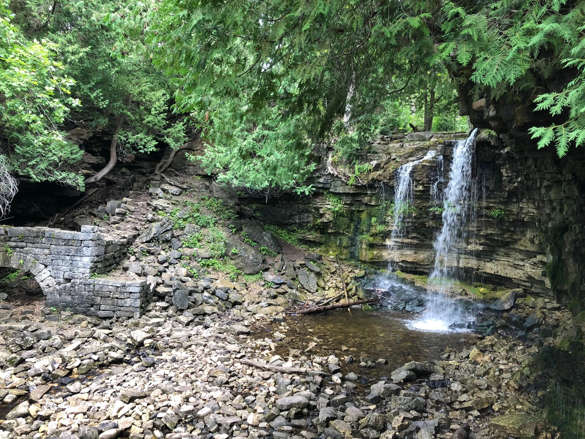 Otter Dale OnlyFans header