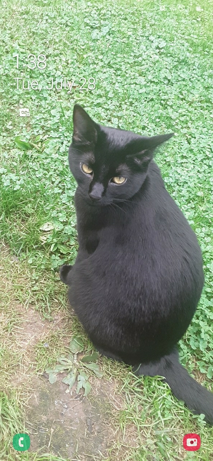 Zeph dragomir OnlyFans header