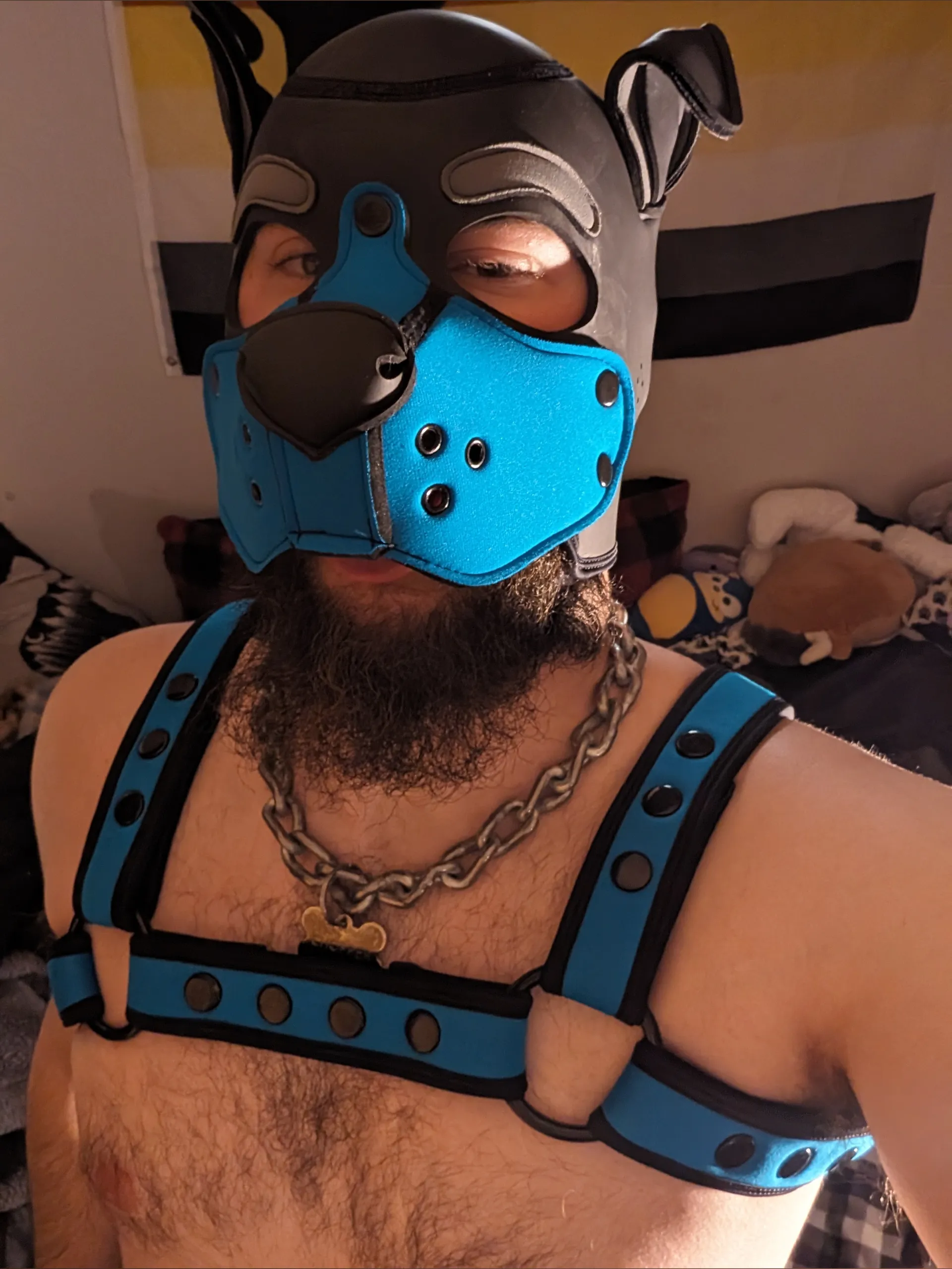 PupChopper OnlyFans header