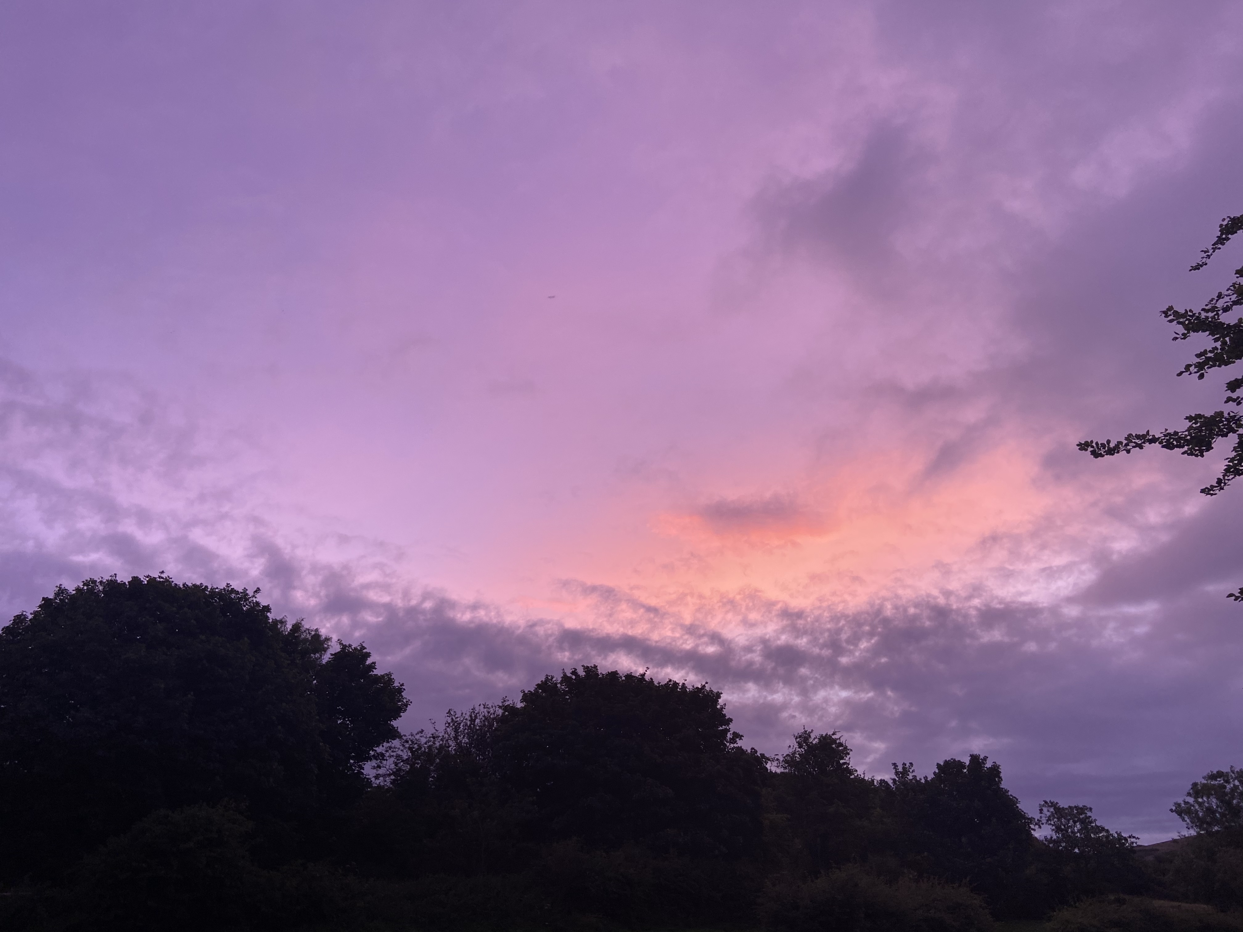 Lesbian Couple OnlyFans header