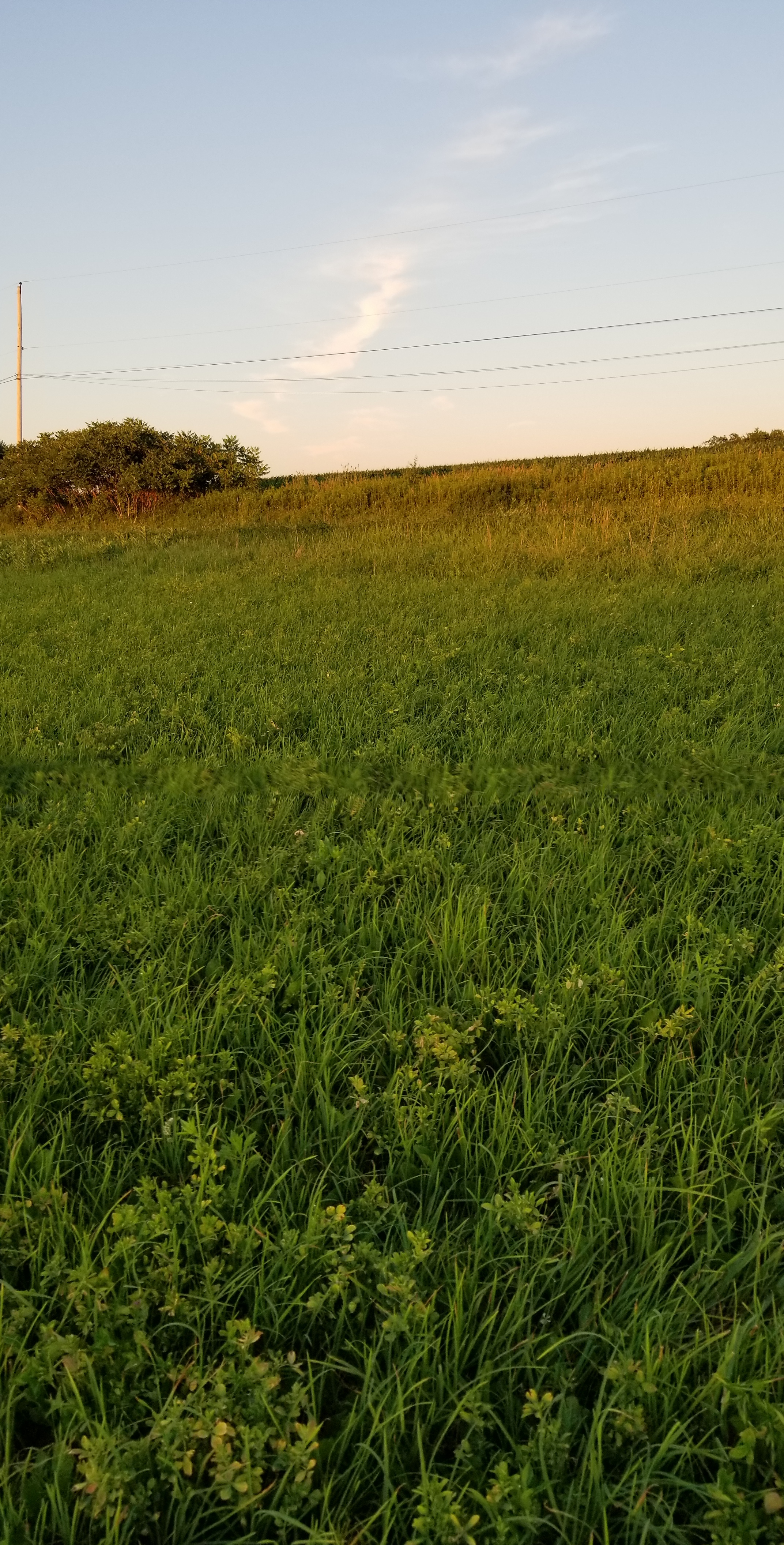 Mike Nd Yelisa OnlyFans header