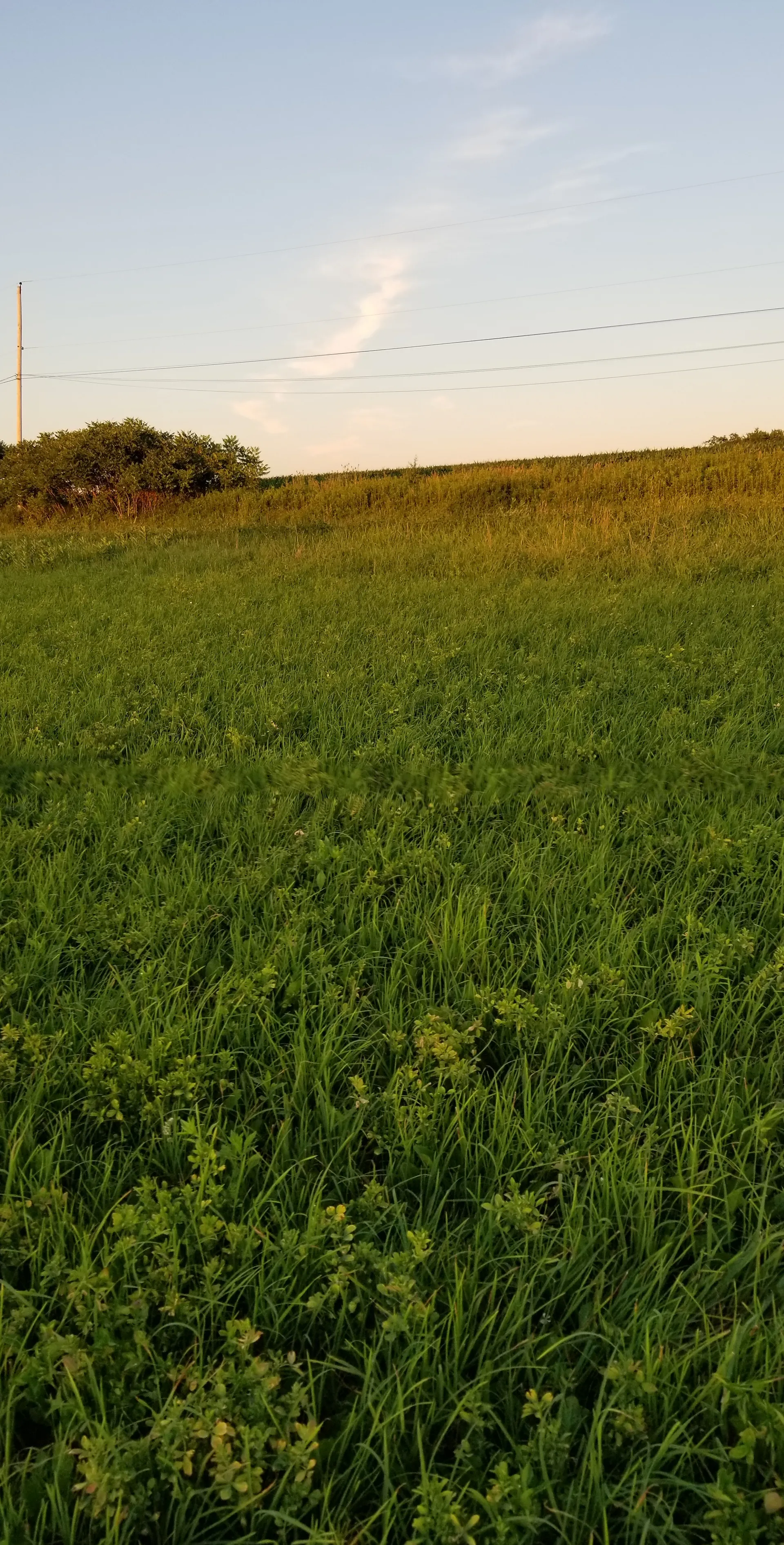 Mike Nd Yelisa OnlyFans header