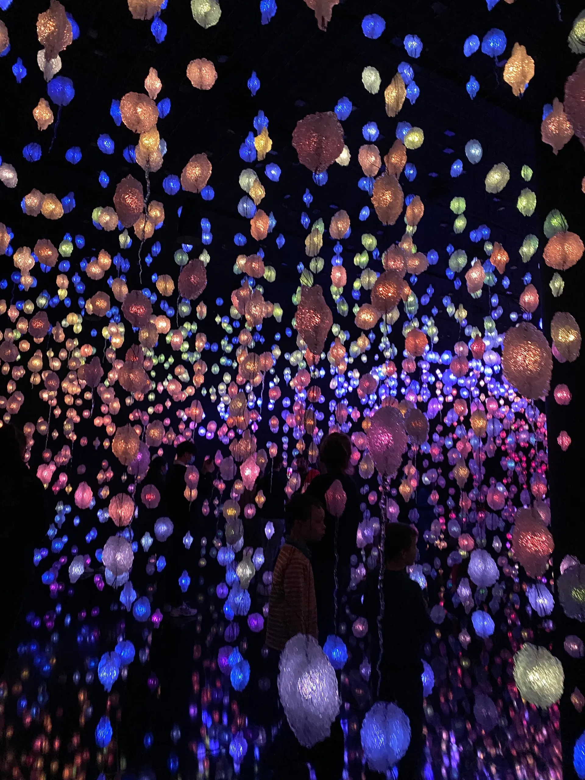 little secret Natalie OnlyFans header