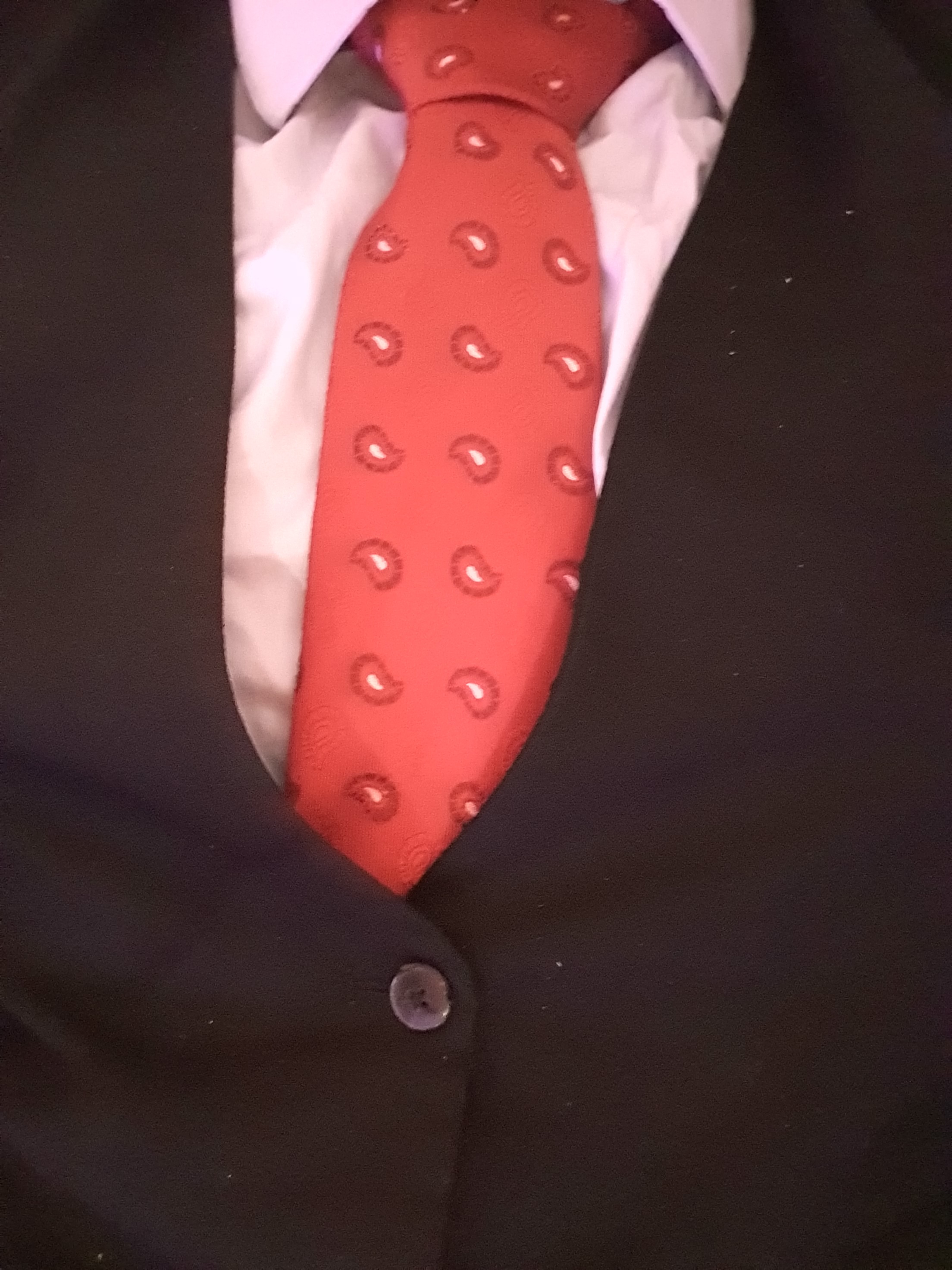 Moustache Bear OnlyFans