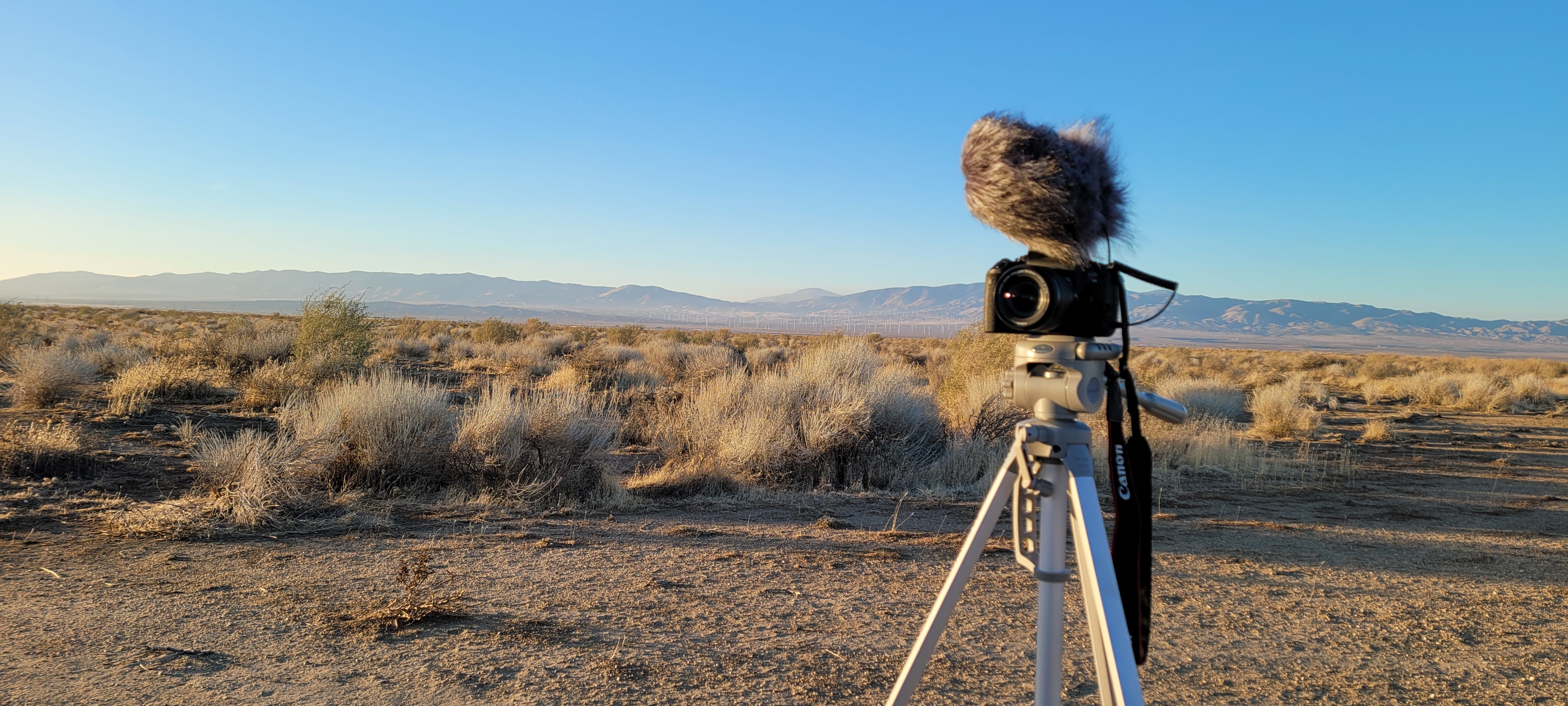 OurWildEscape OnlyFans header