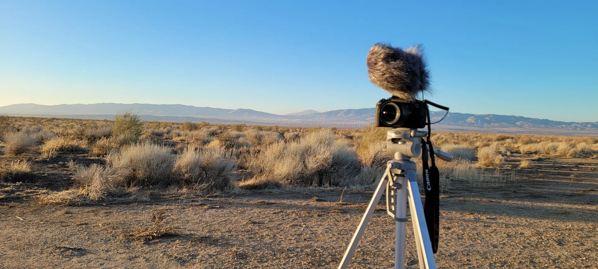 OurWildEscape OnlyFans header