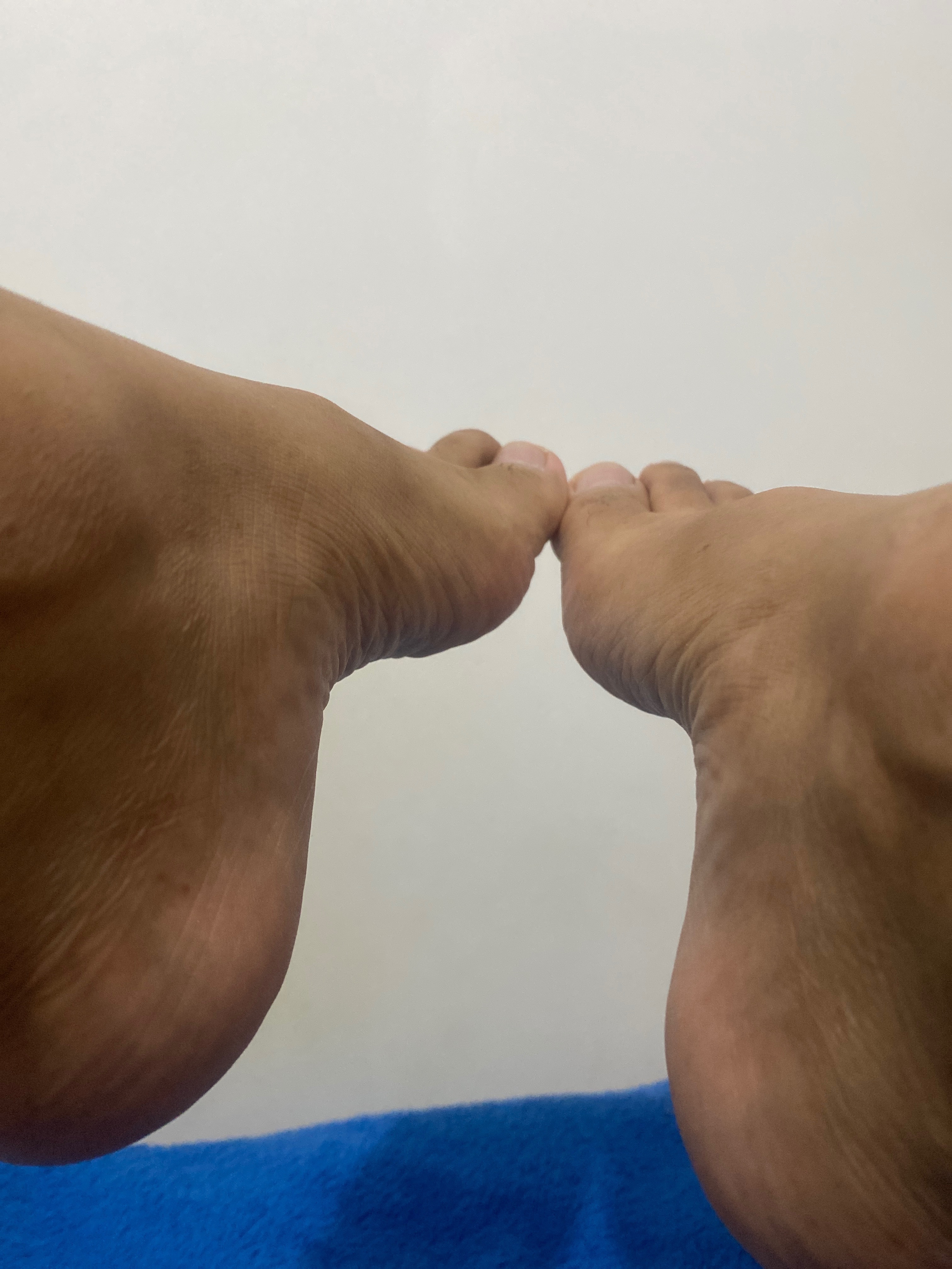 Segrego OnlyFans header