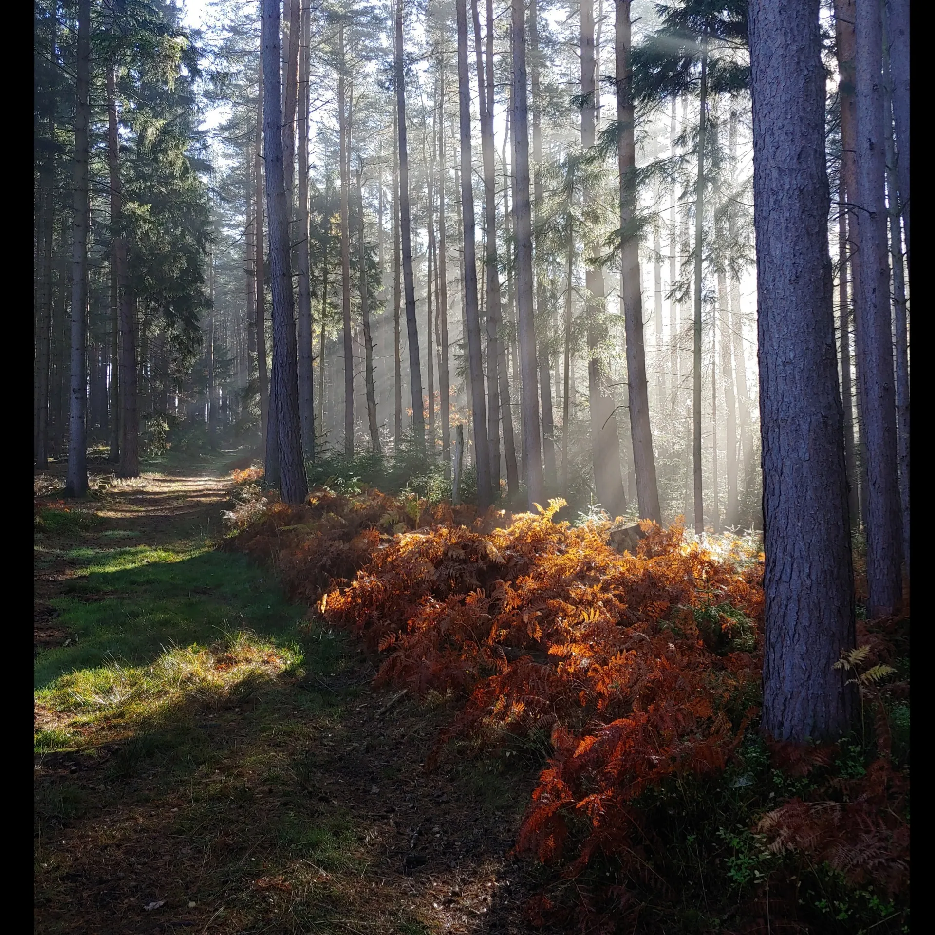Outdoor Guys OnlyFans header