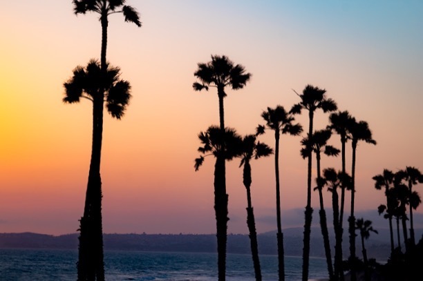 Cassie Wild OnlyFans header