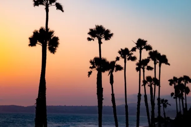 Cassie Wild OnlyFans header