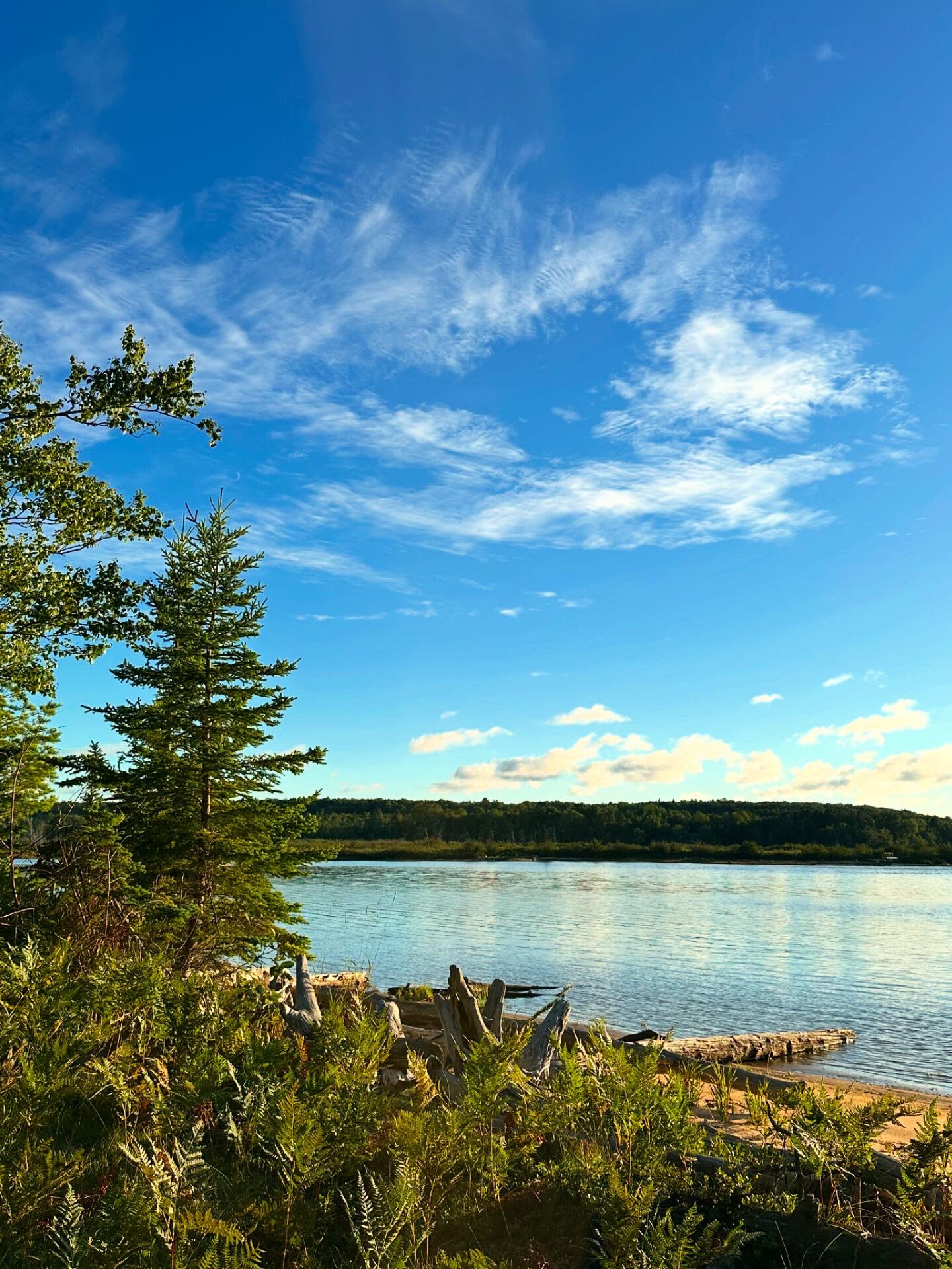 Outdoorbuddy OnlyFans