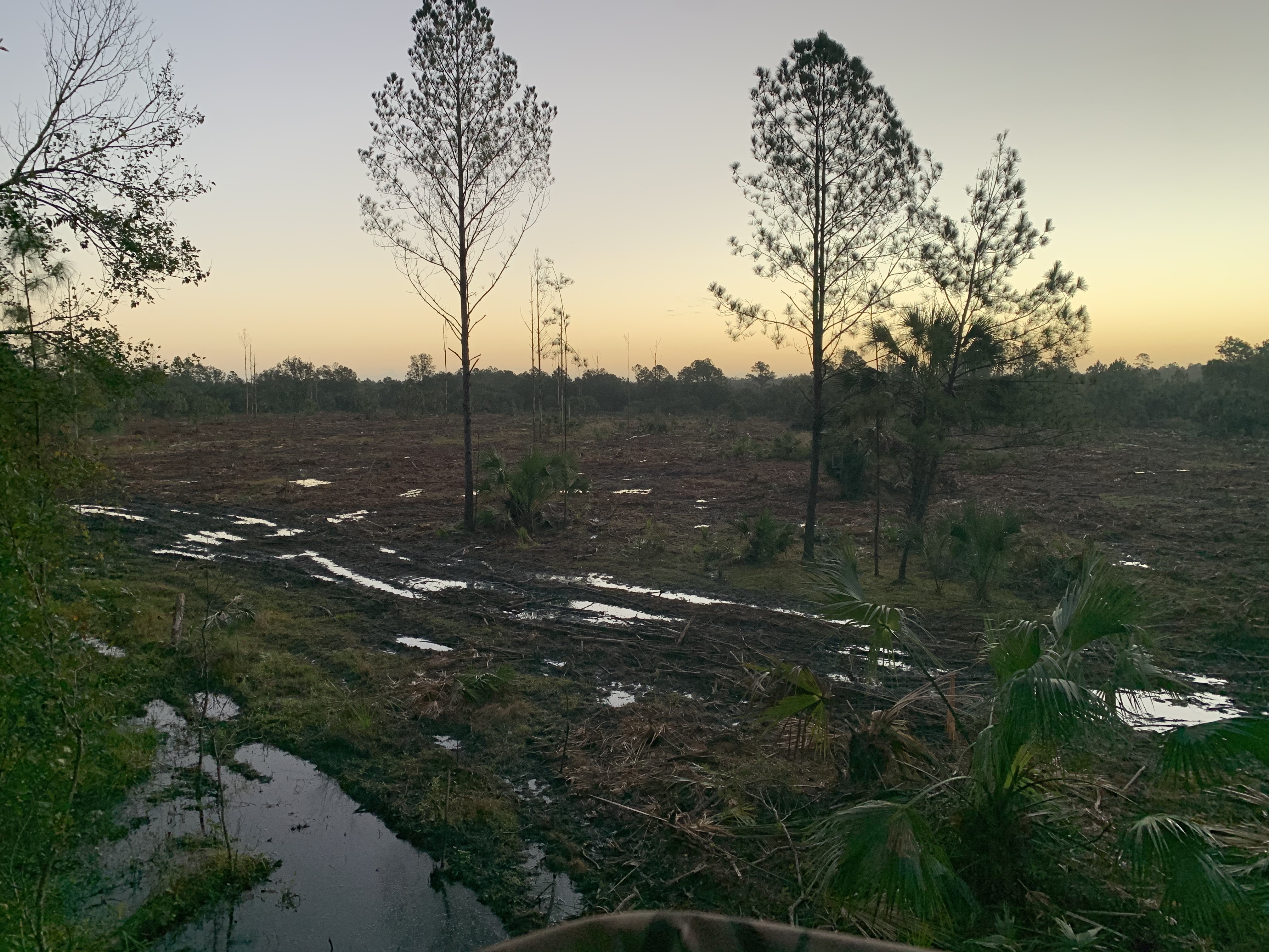 Outdoor Housewife OnlyFans header