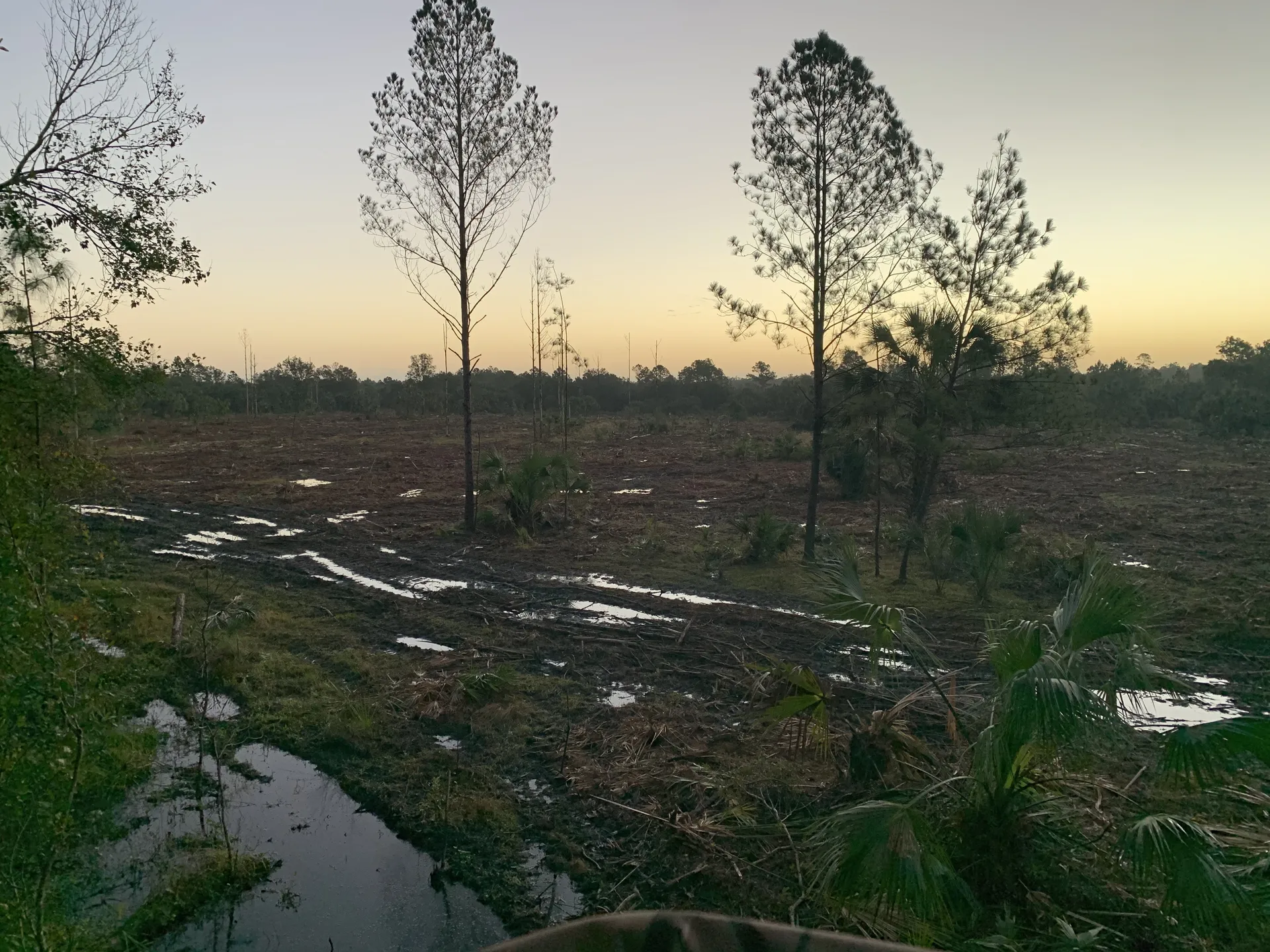 Outdoor Housewife OnlyFans header