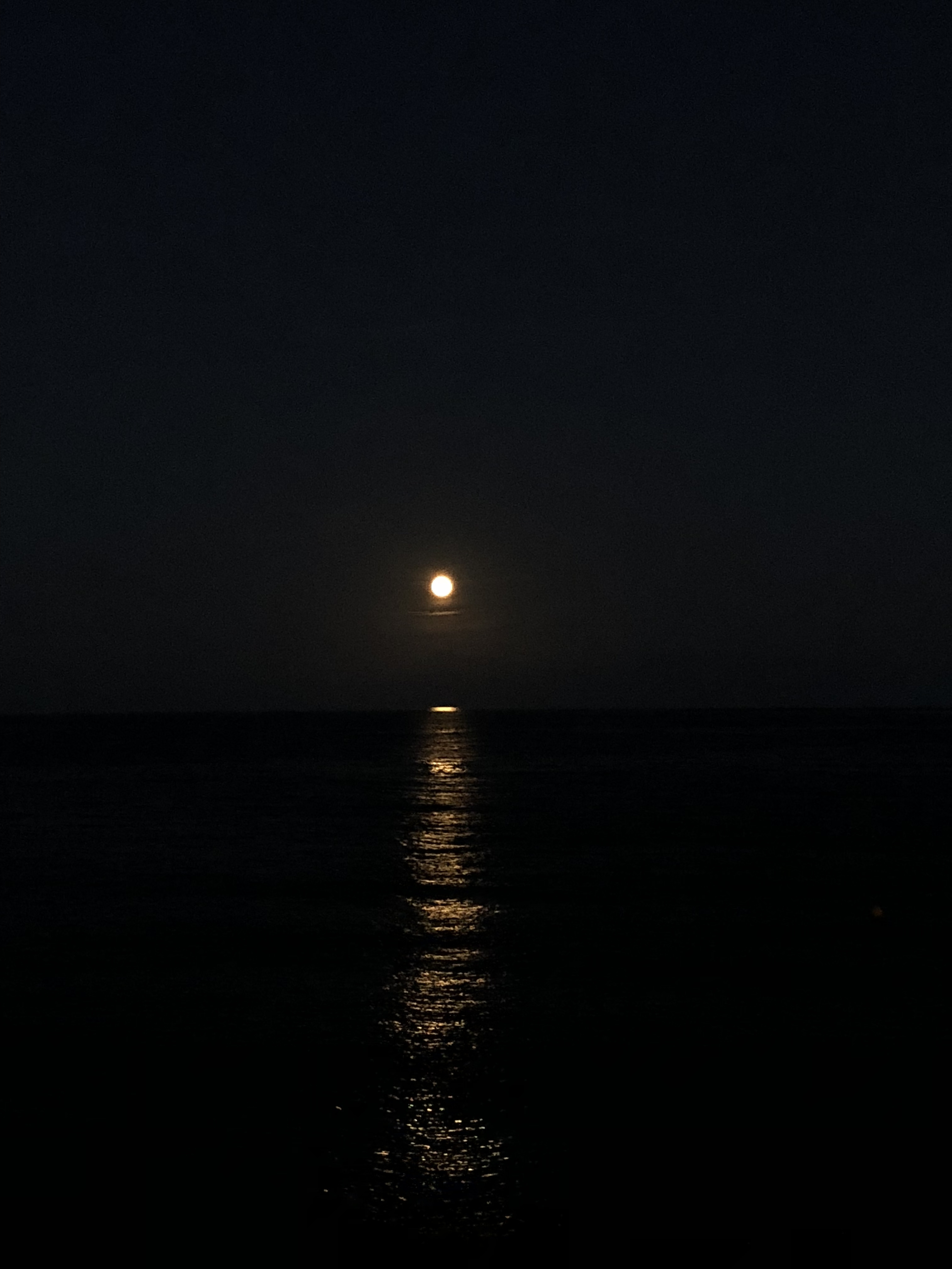 Exhibitionist Guy OnlyFans header